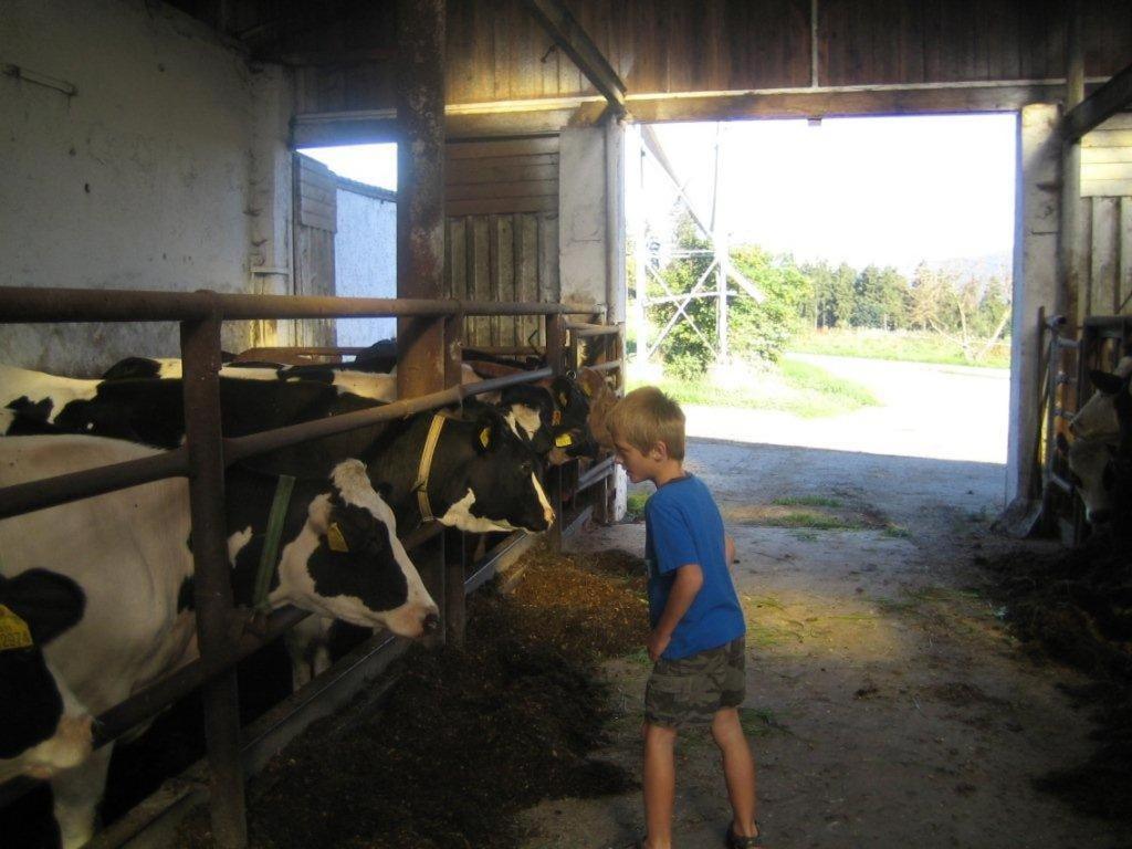 Photo 26