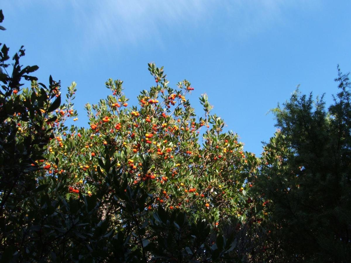 Photo 27