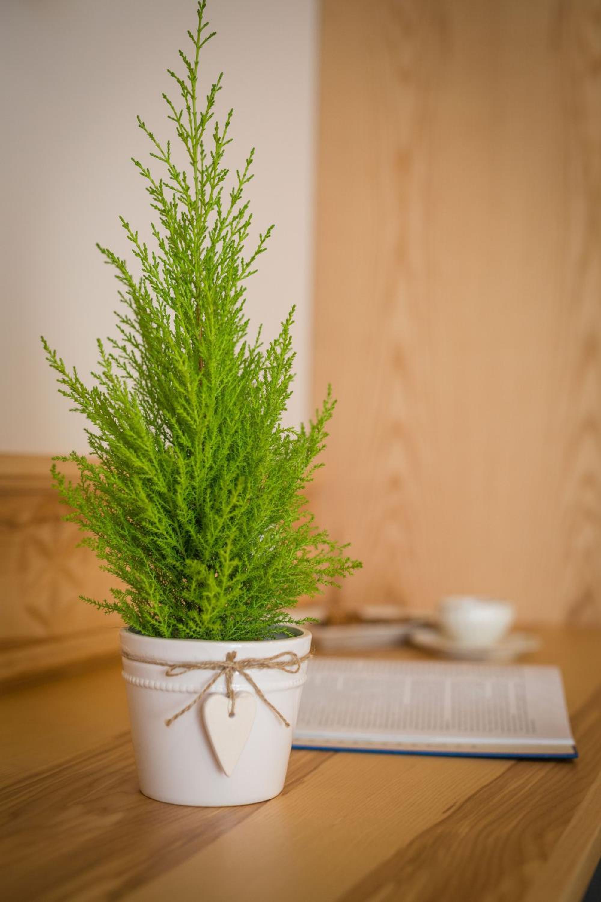 Photo 24