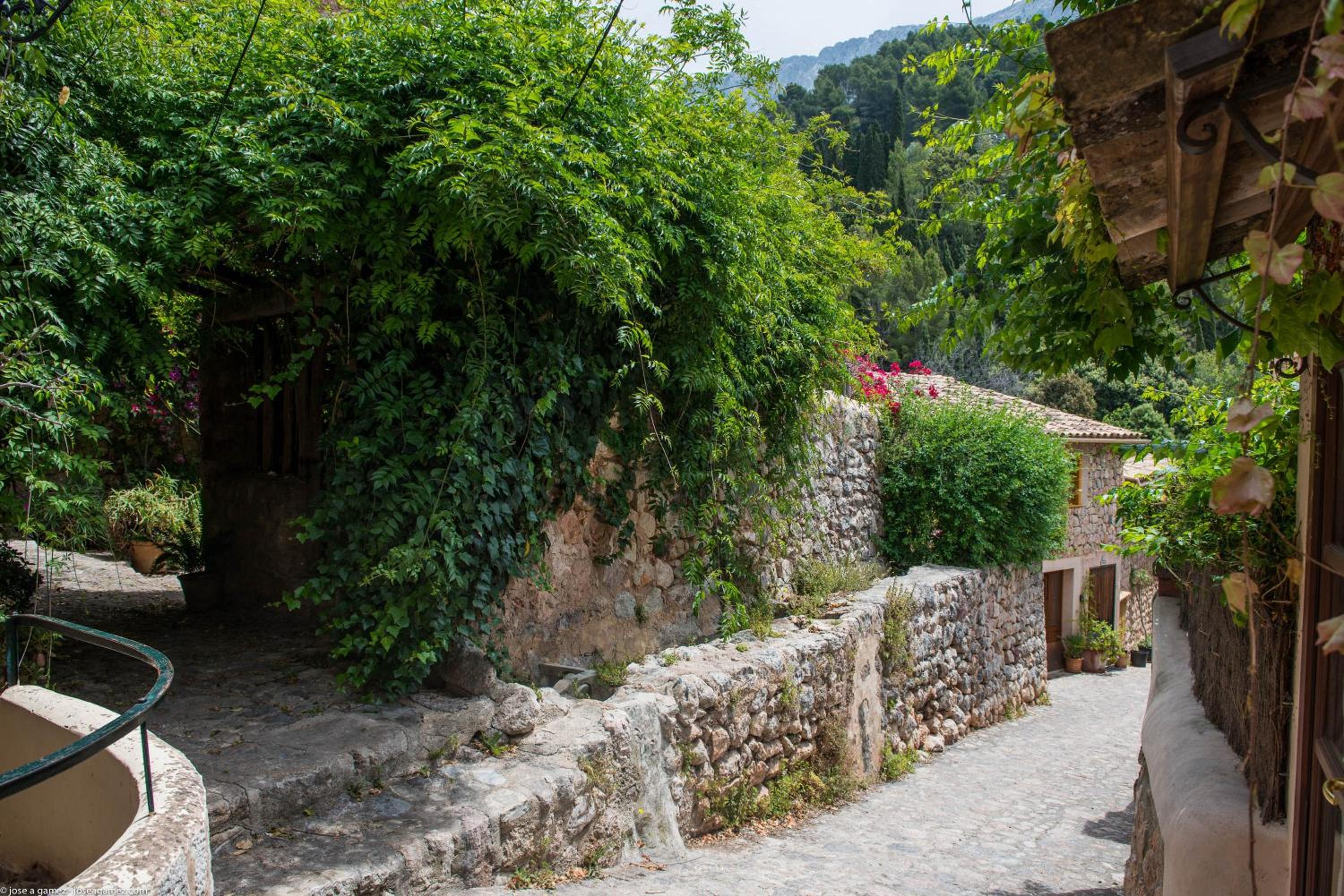 S'Olivaret -Fornalutx-