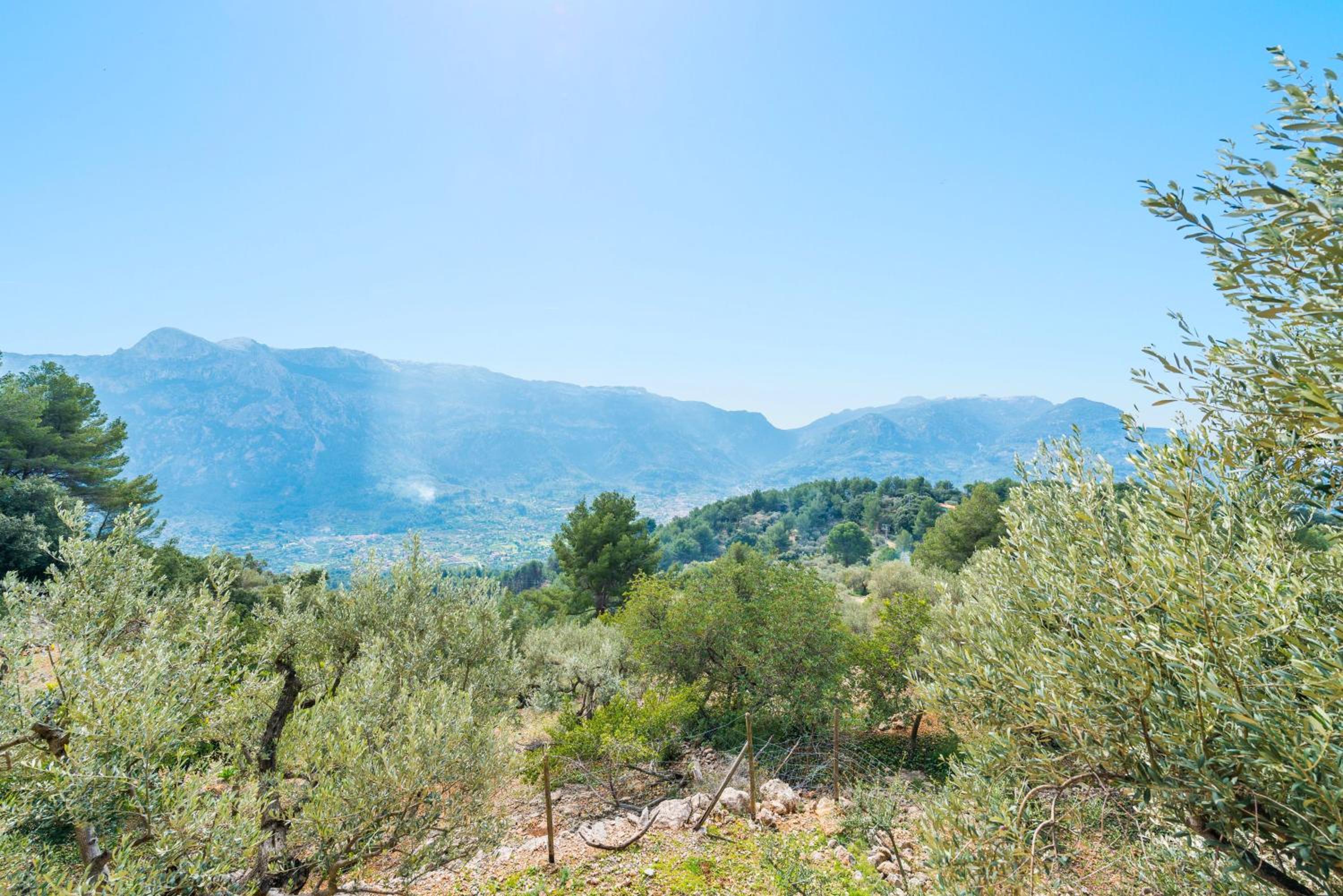 S'Olivaret -Fornalutx-