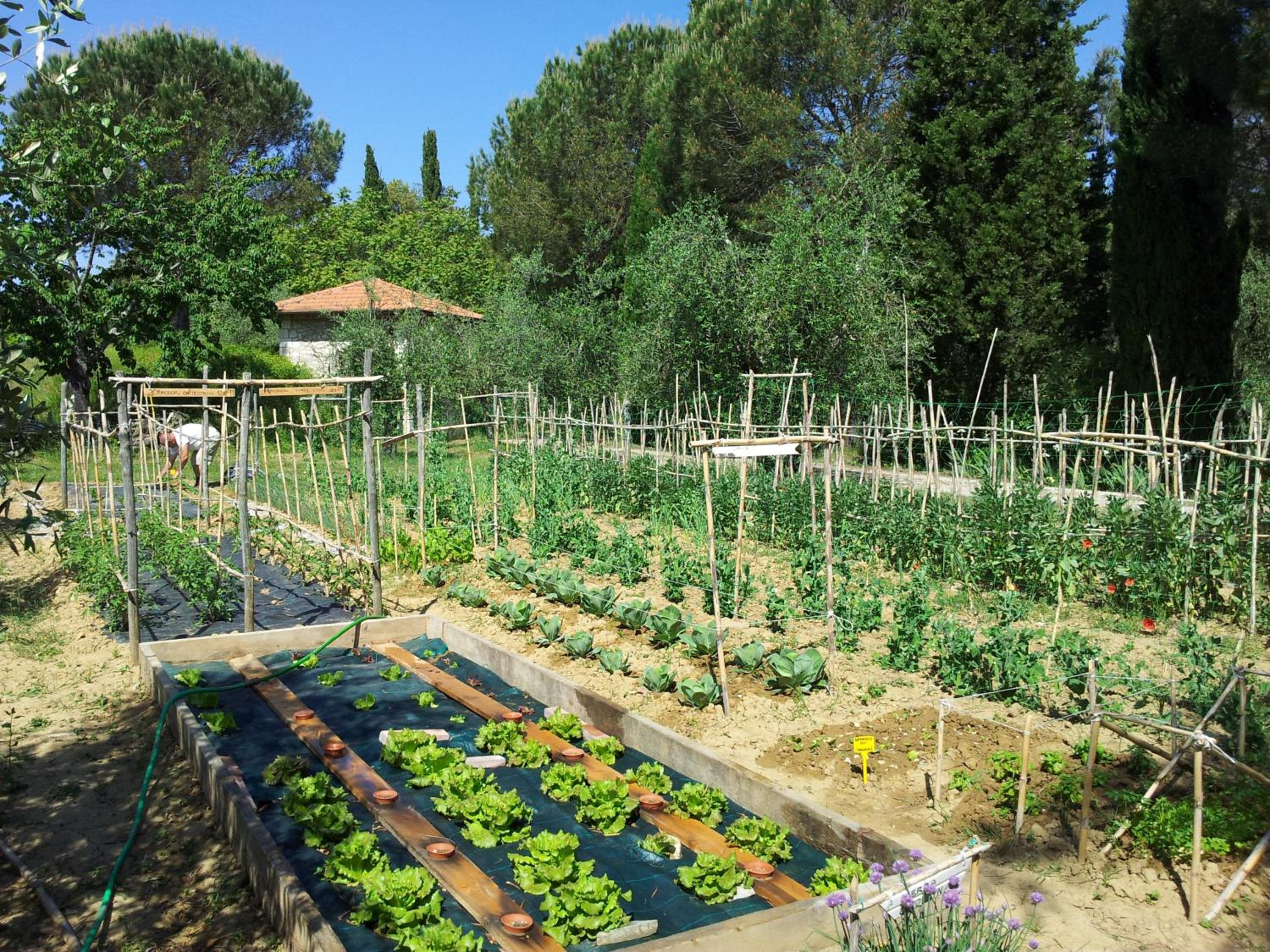 Podere San Quirico