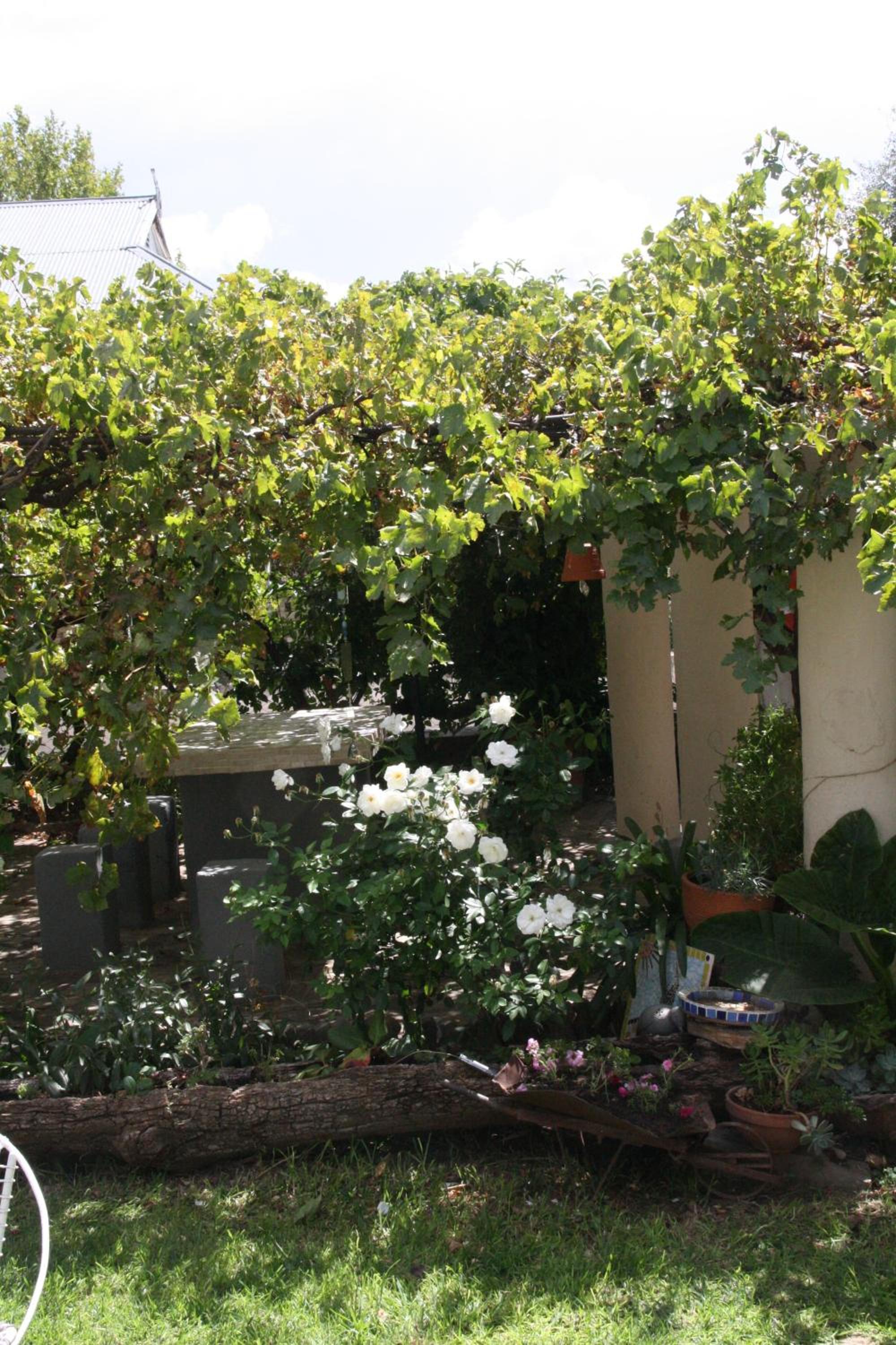 Anker Guesthouse