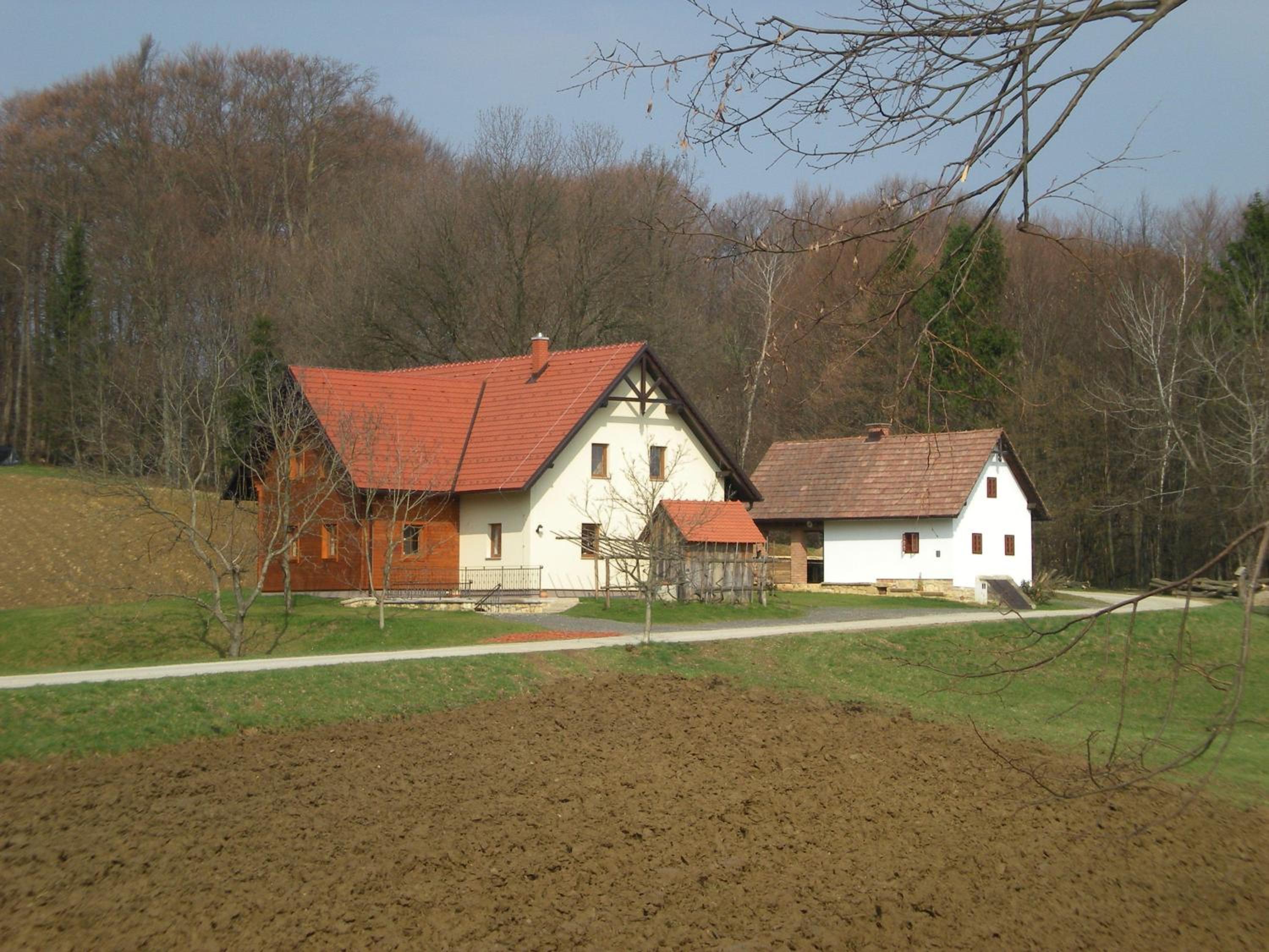 Photo 17