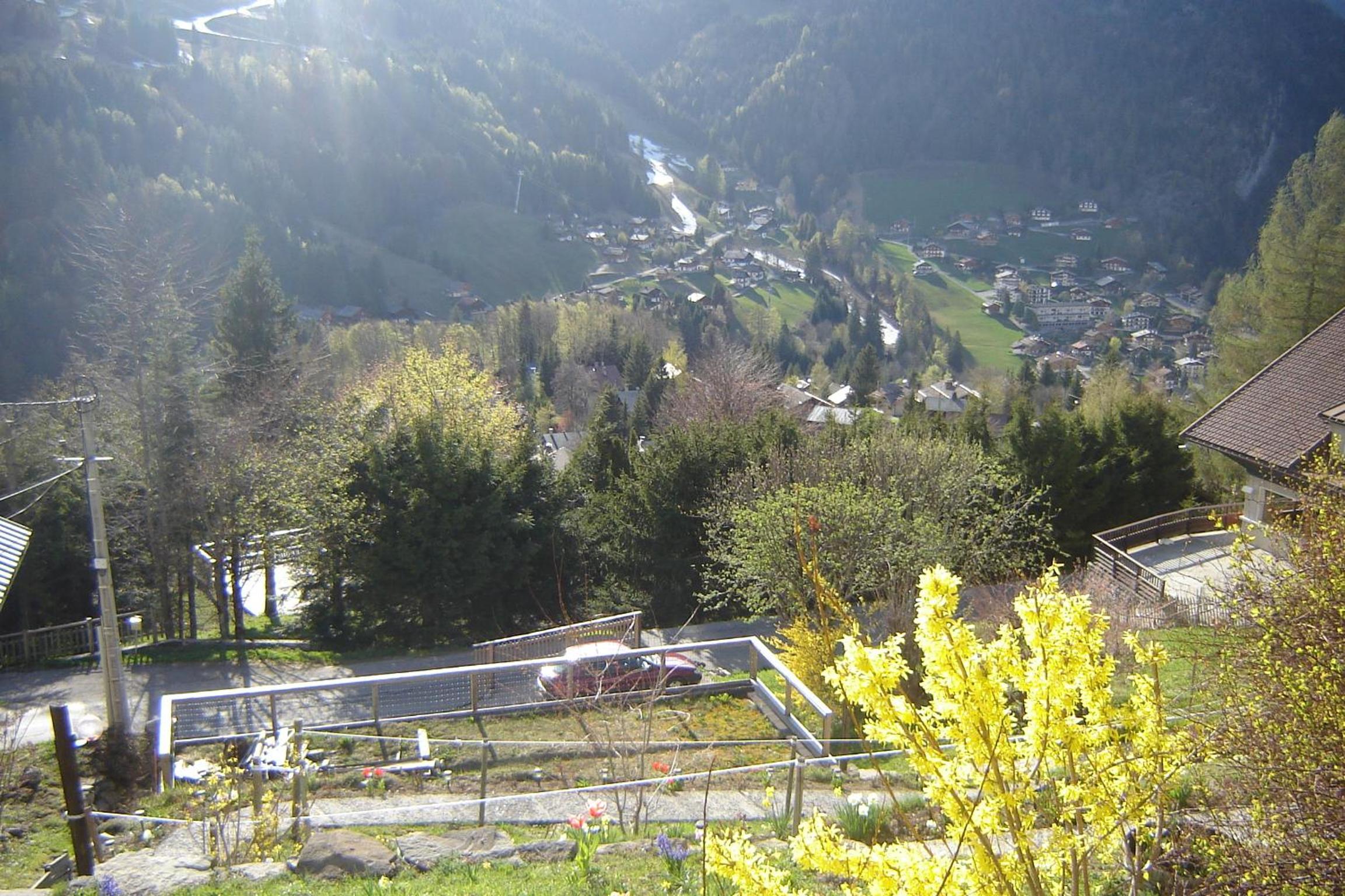 Photo 9
