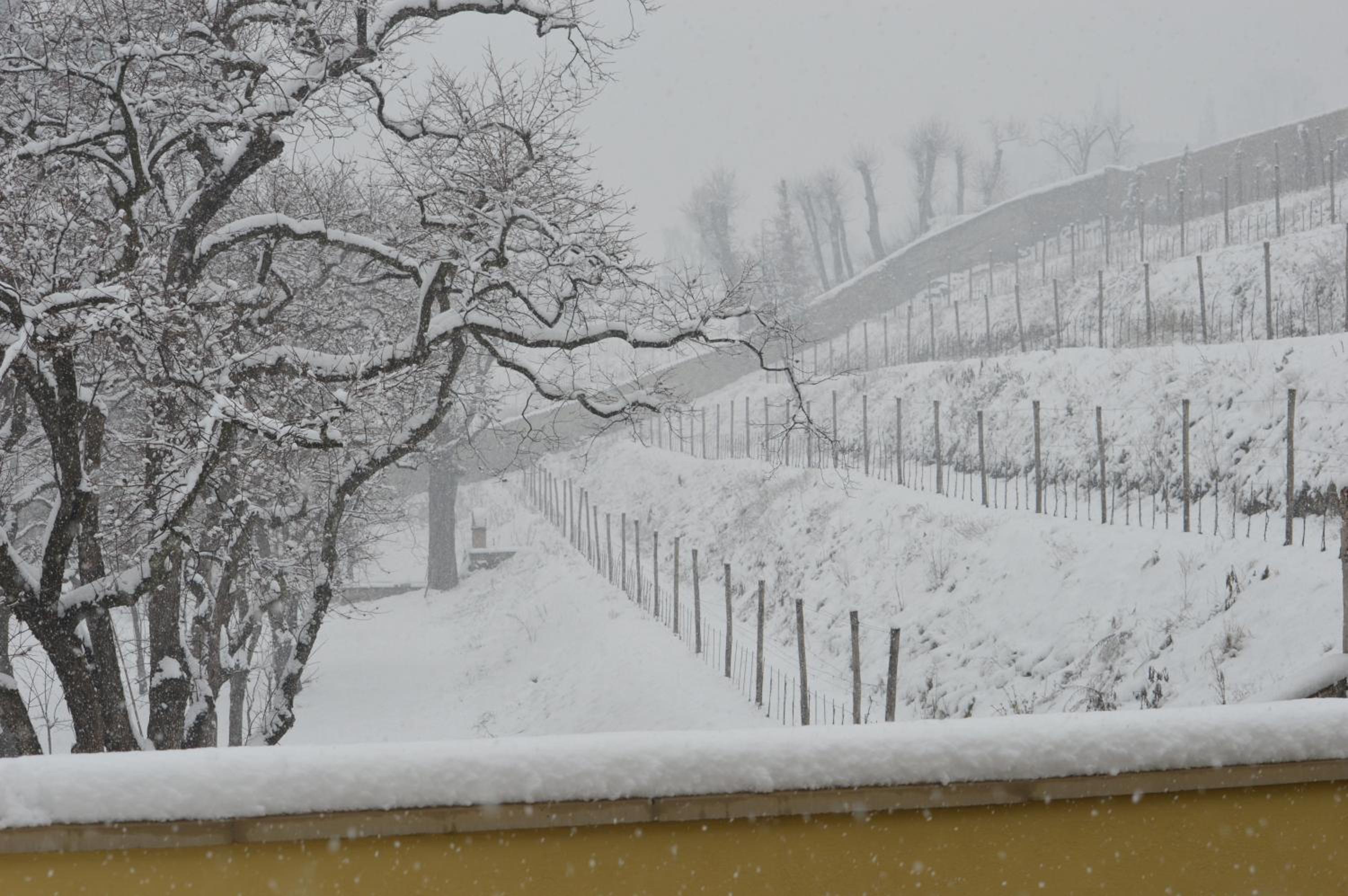 Villa Biondelli Wine & Suites