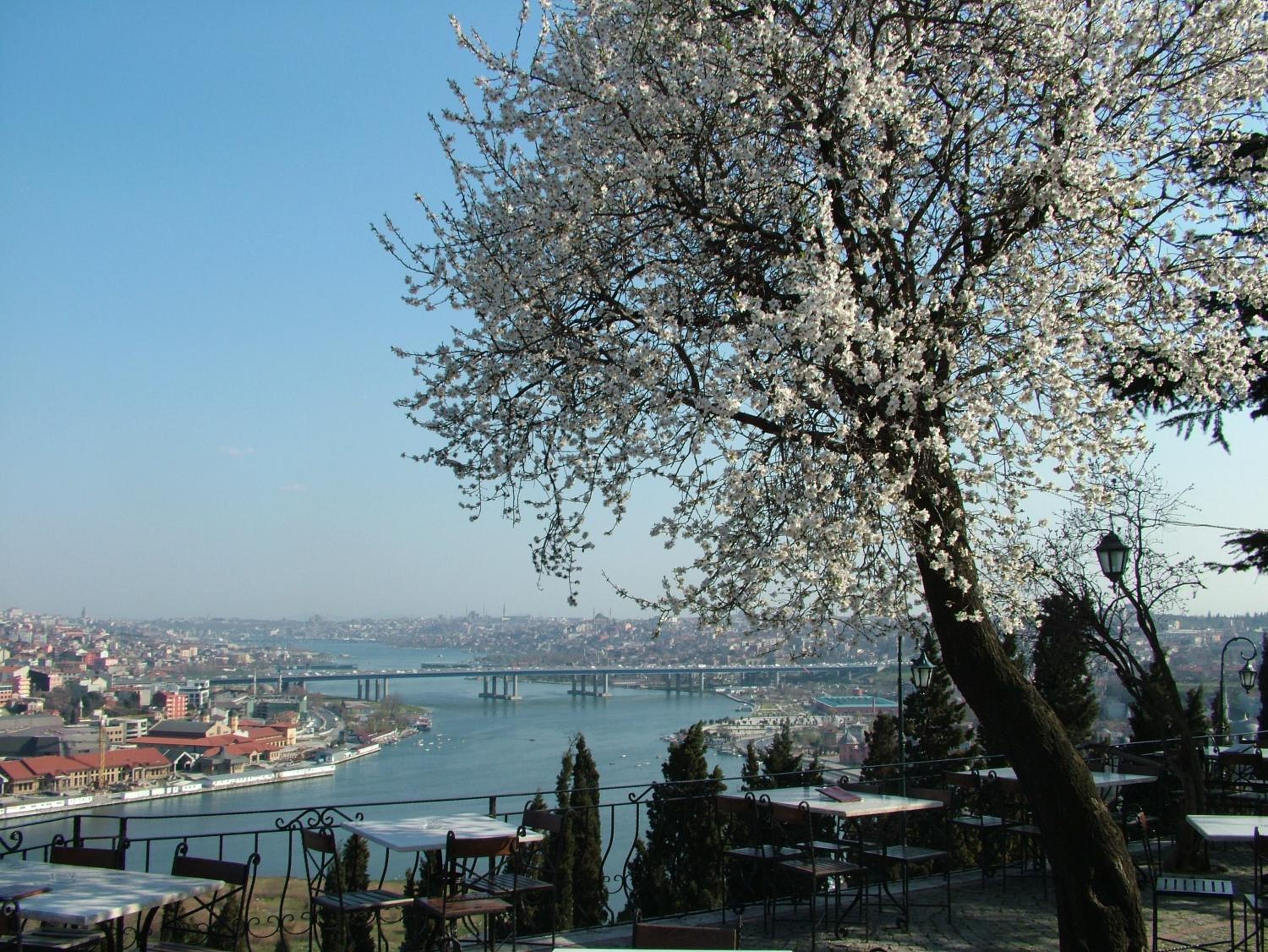 Turquhouse Otel - Image 40