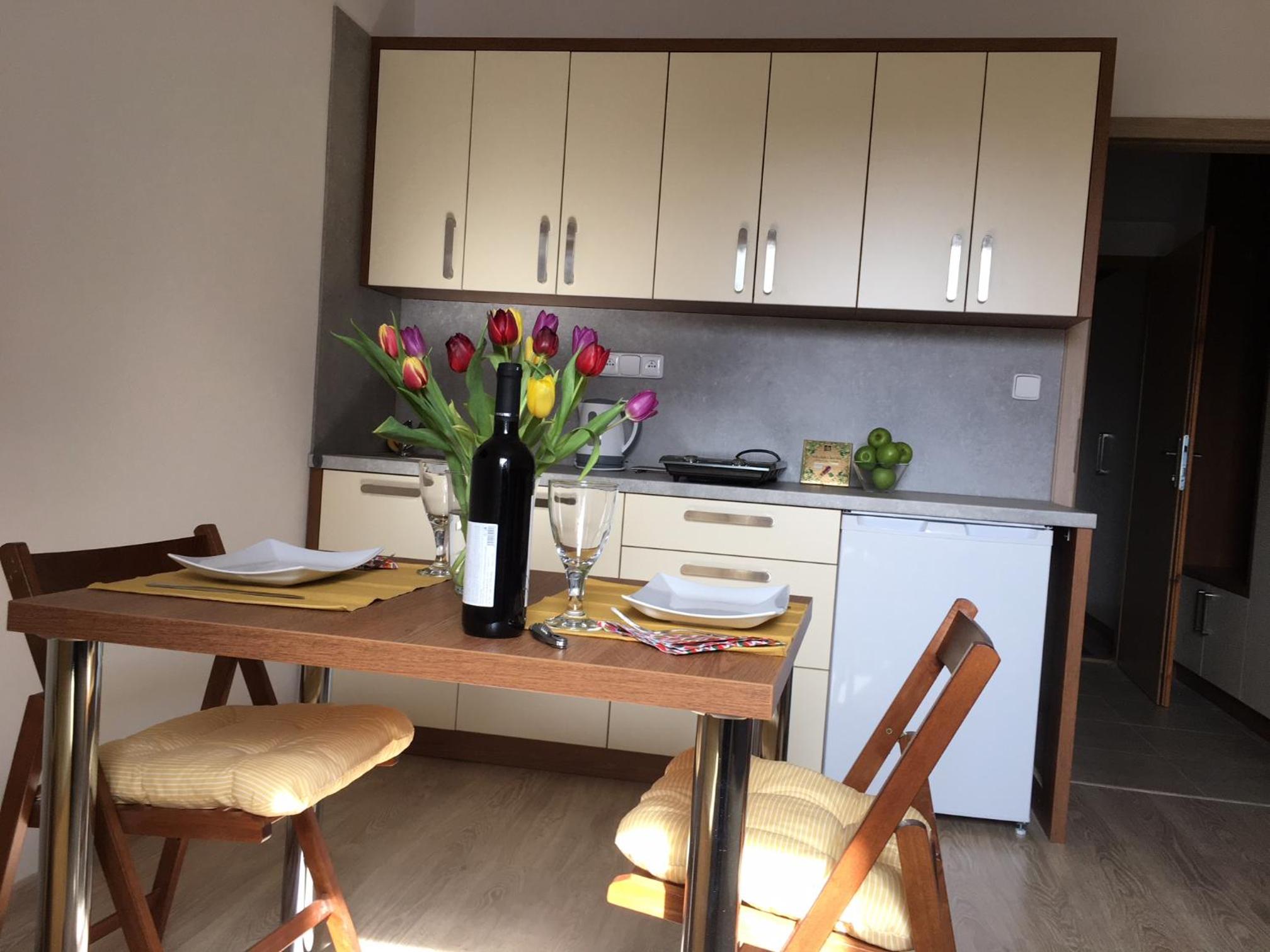 Apartmán Dlouhé stráně view 2