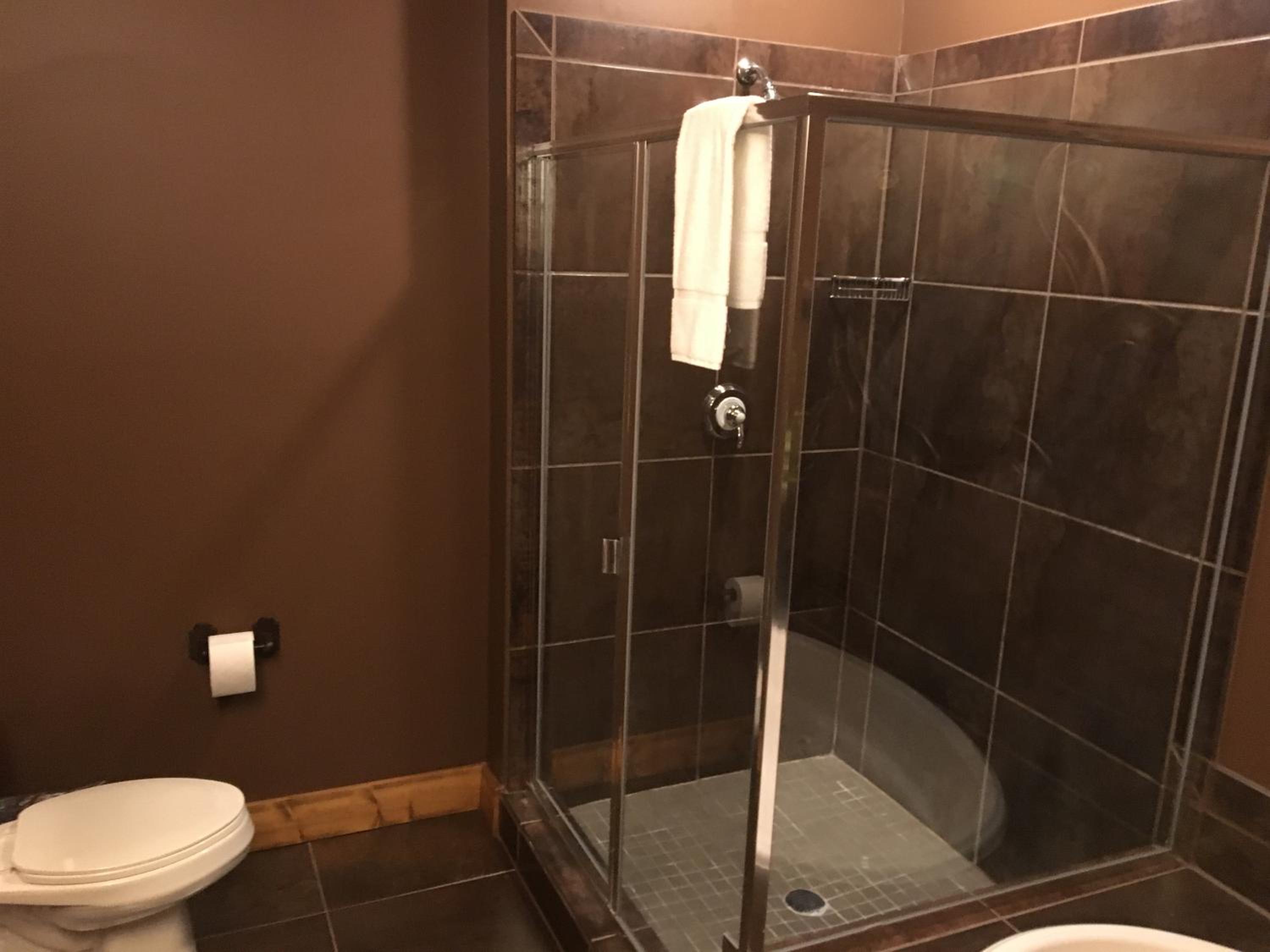 Boyne Mountain Creekside Condo