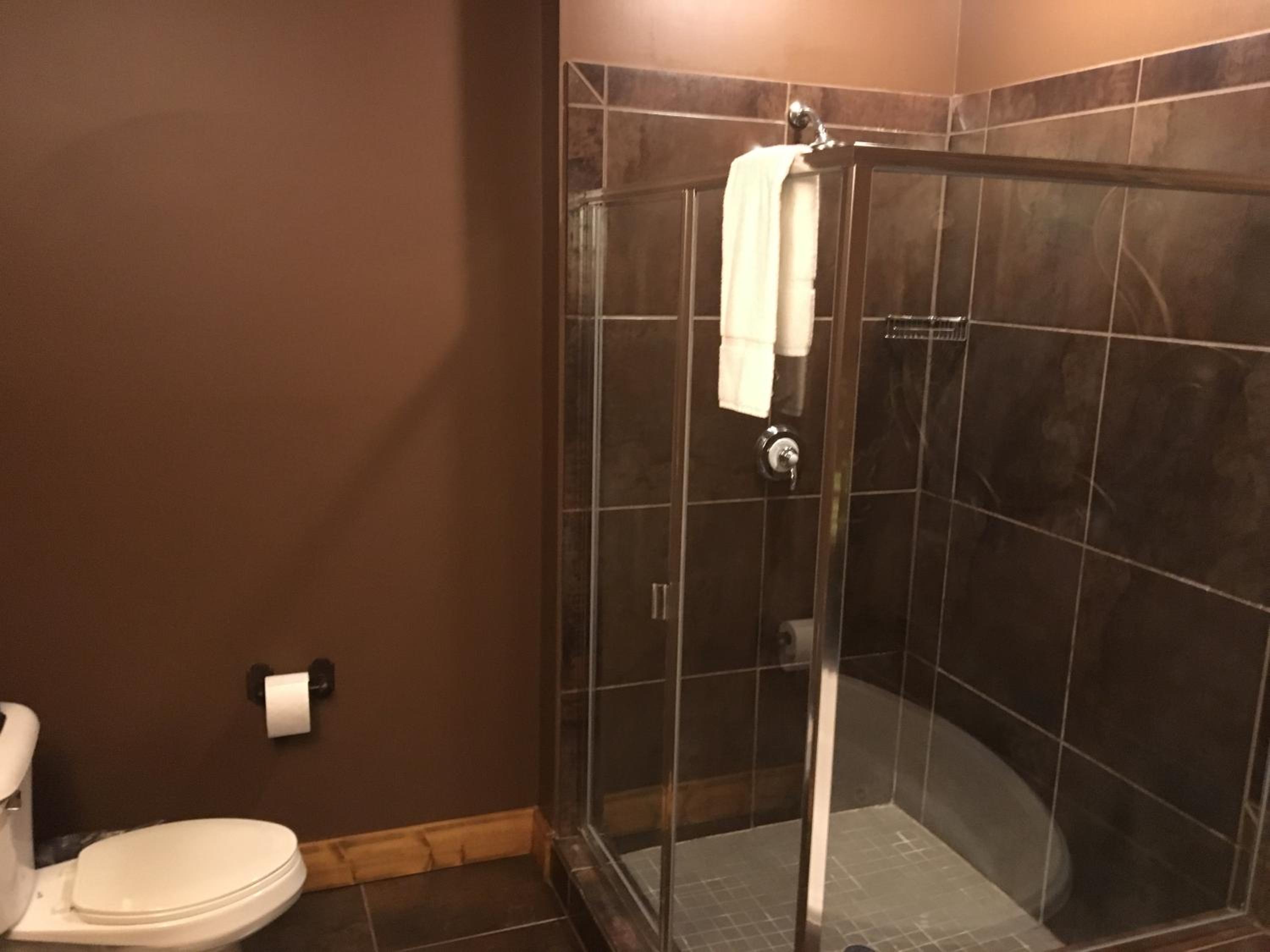 Boyne Mountain Creekside Condo