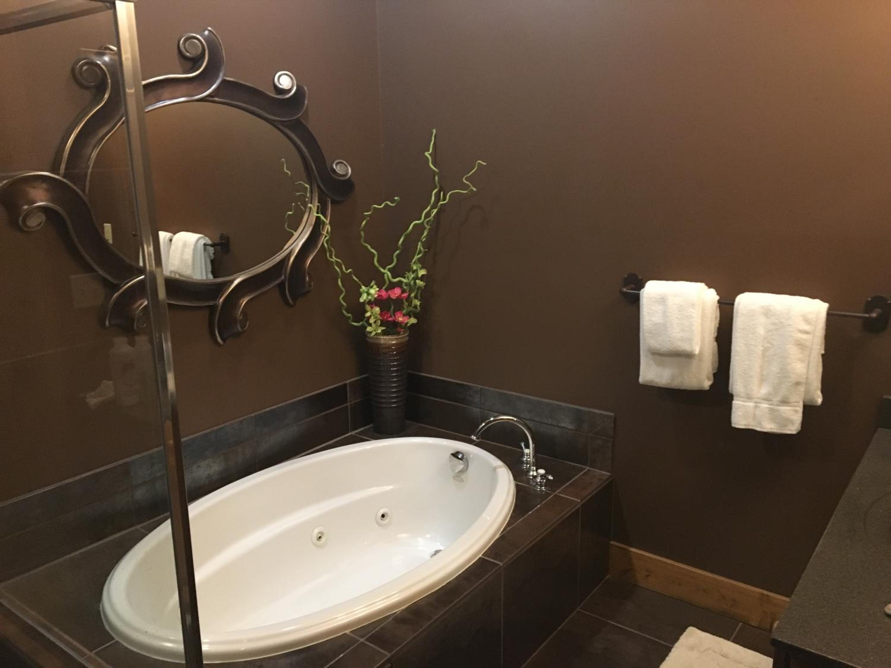 Boyne Mountain Creekside Condo