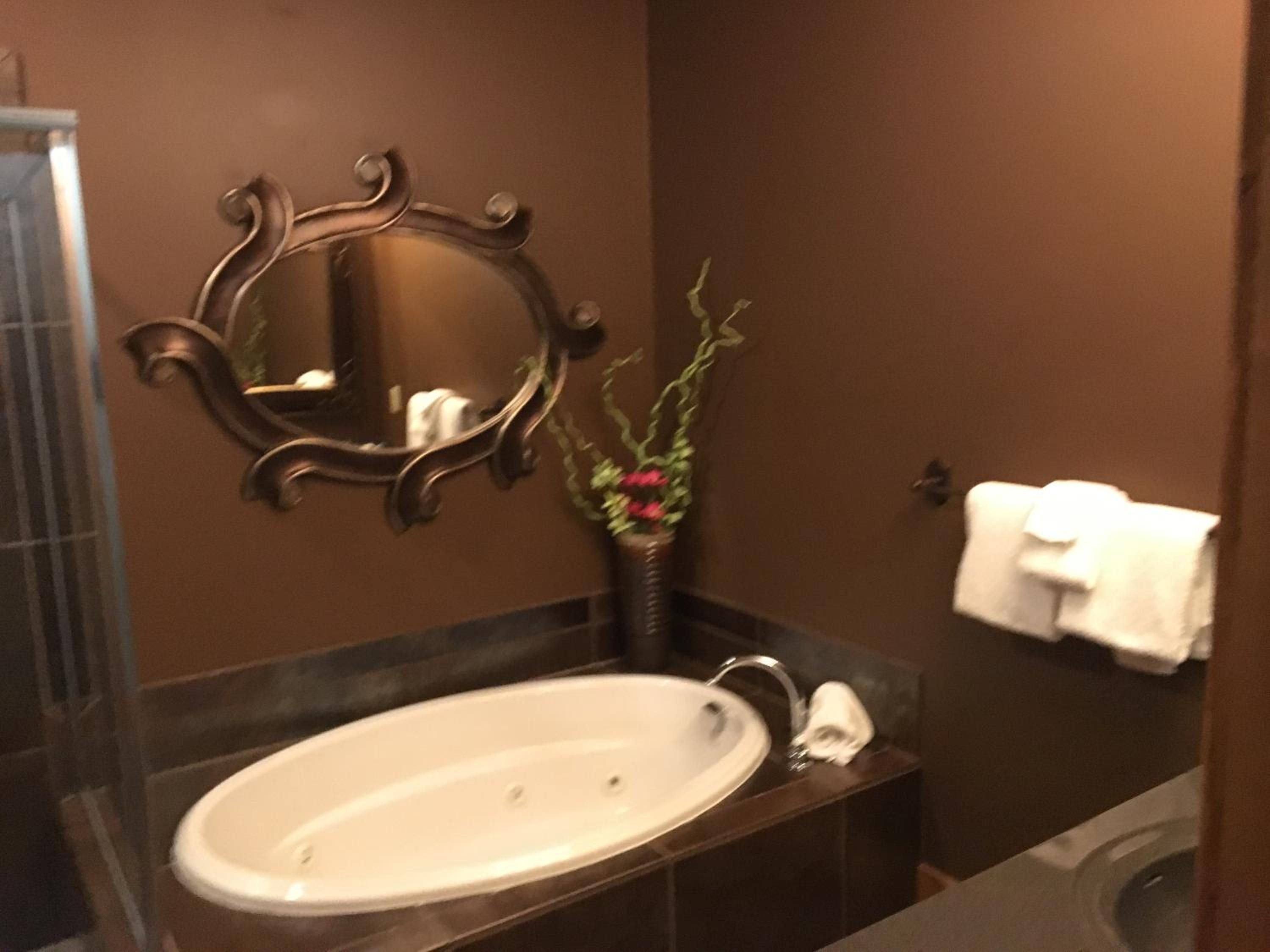 Boyne Mountain Creekside Condo