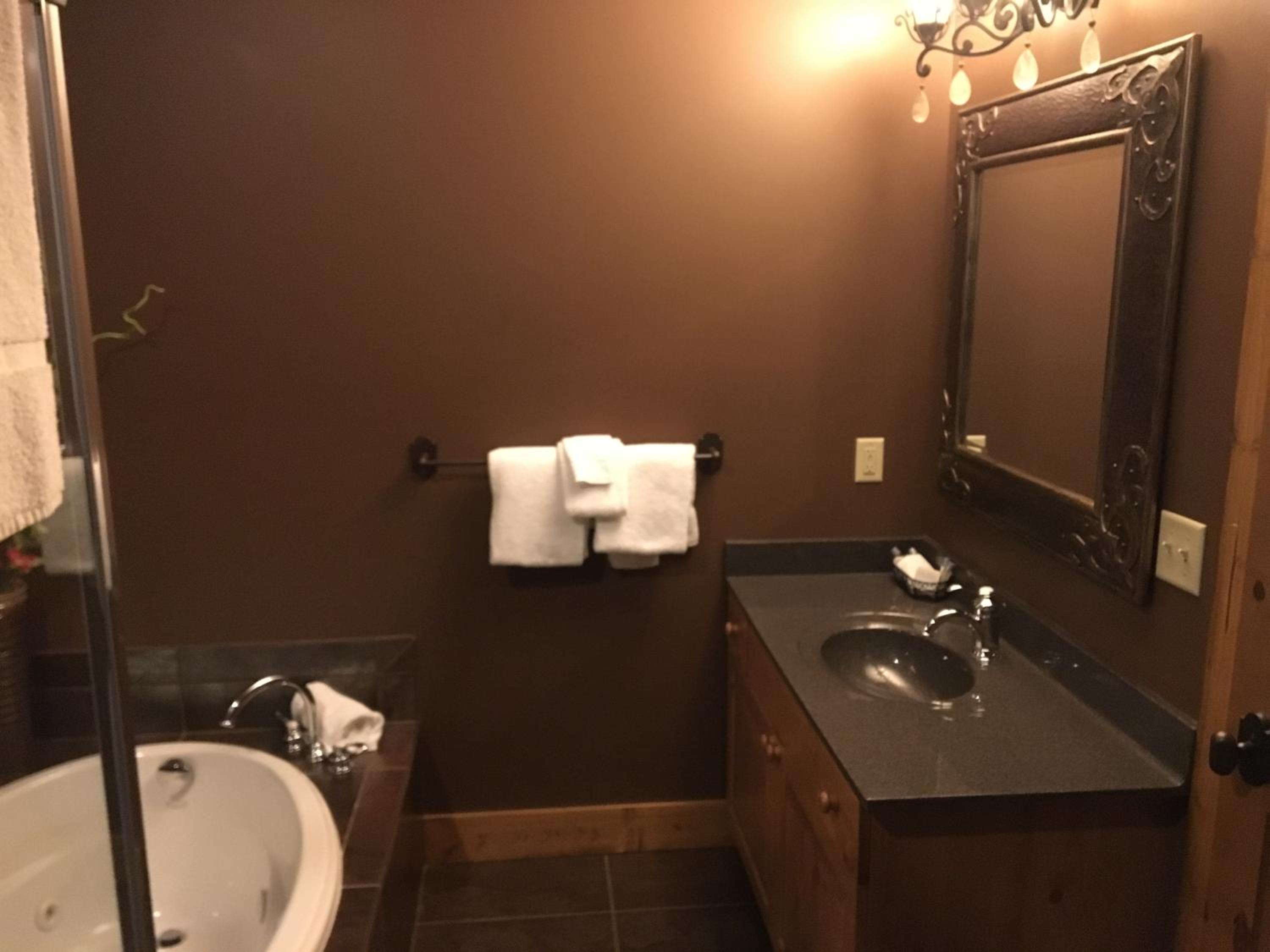 Boyne Mountain Creekside Condo