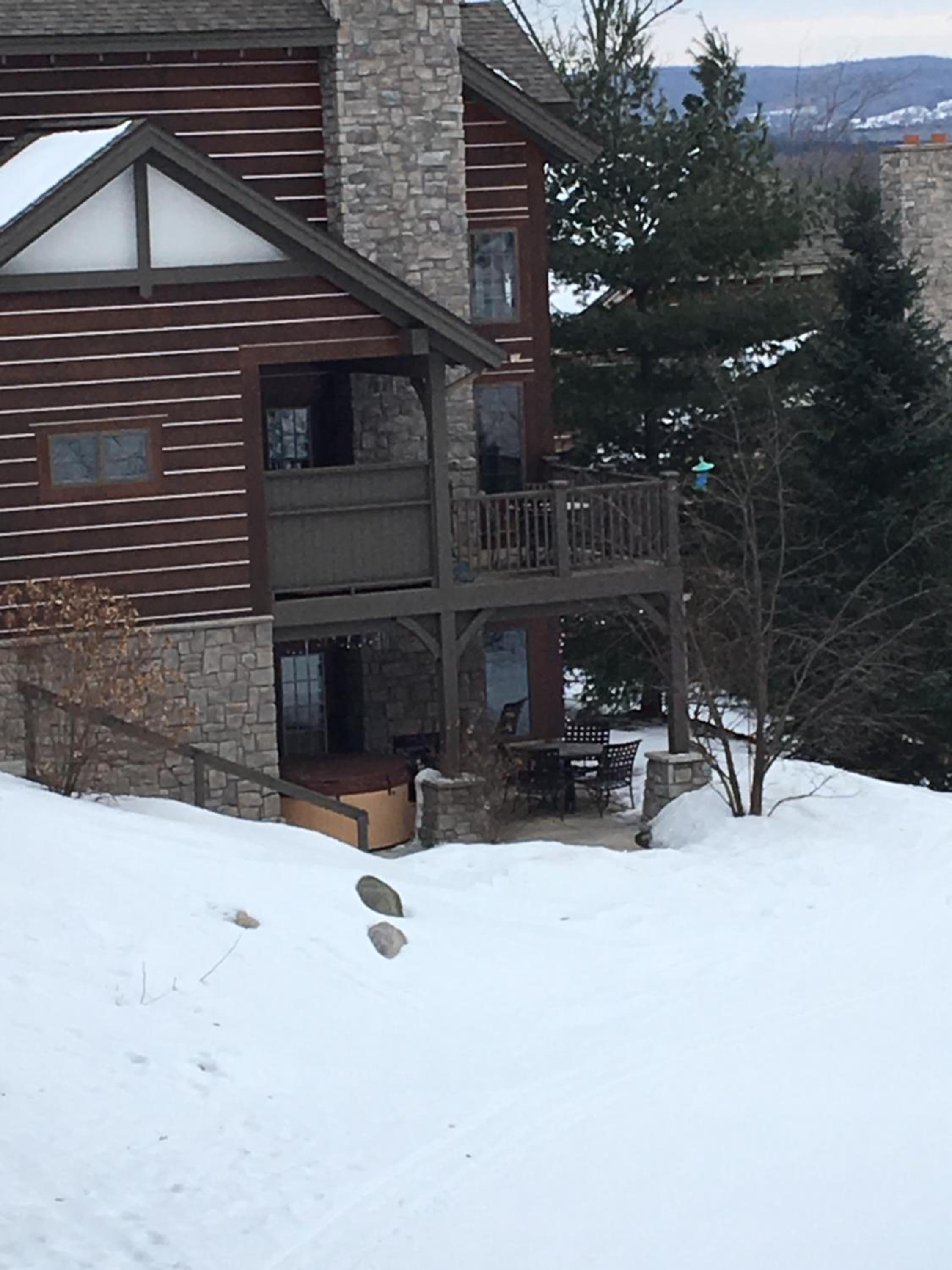 Boyne Mountain Creekside Condo