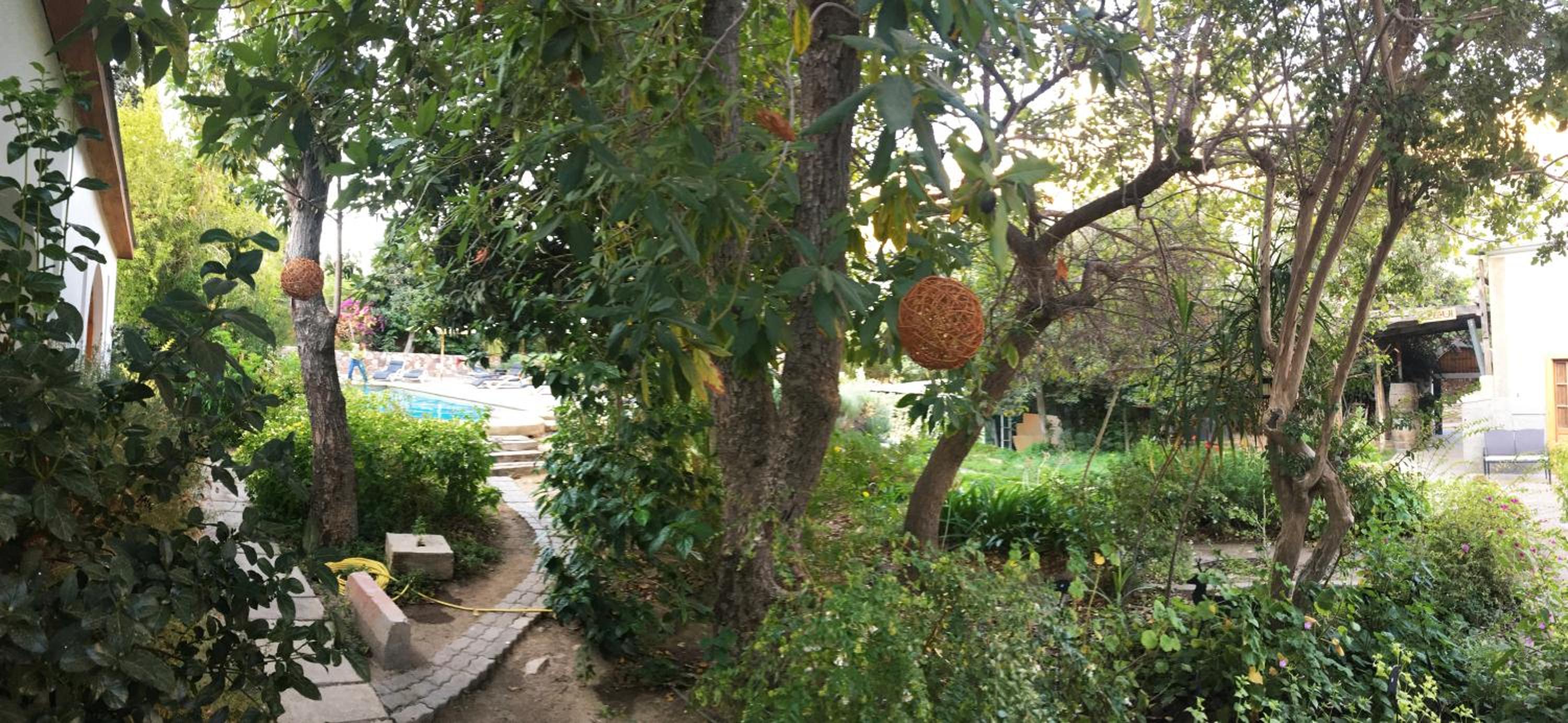 garden