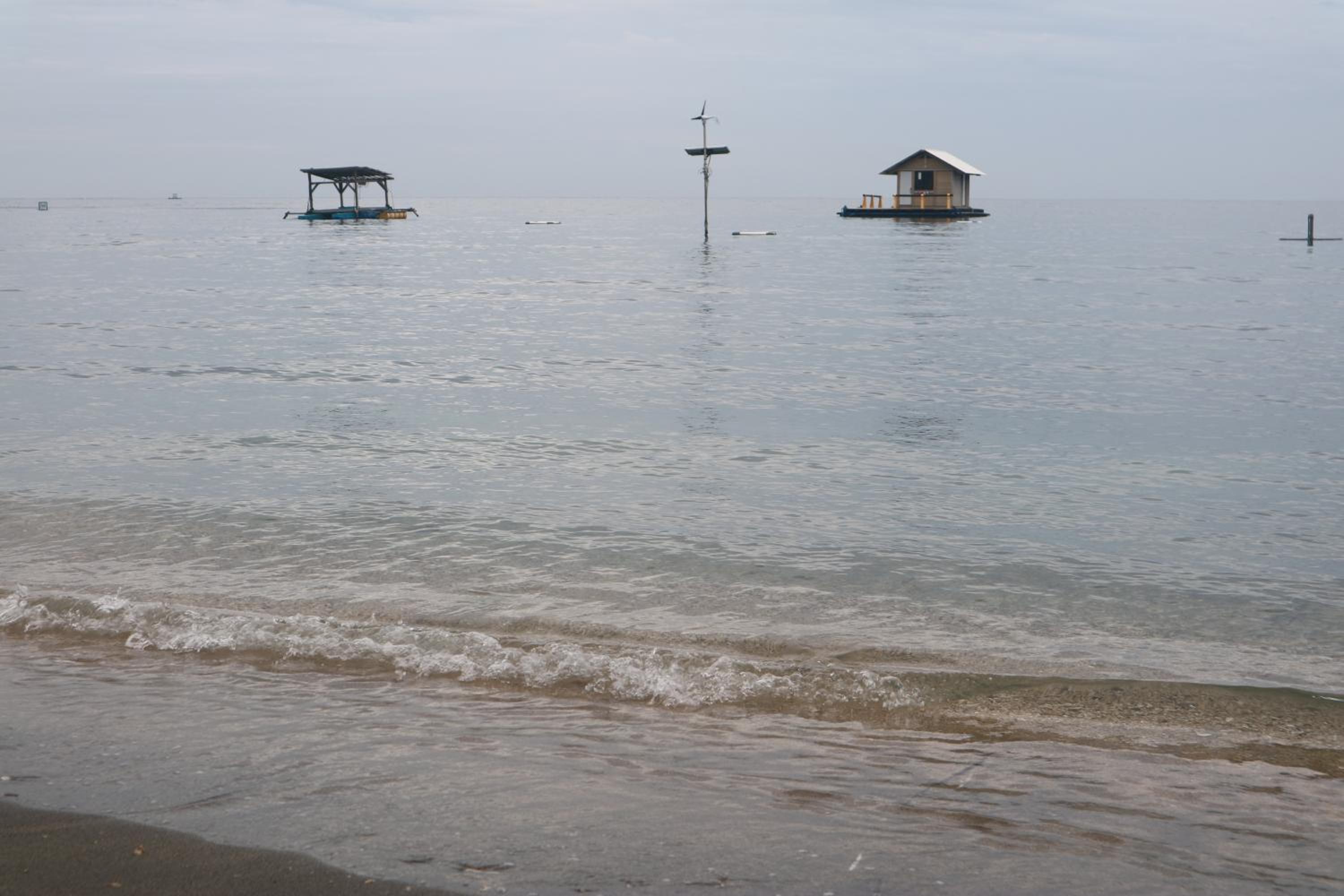 Photo 201