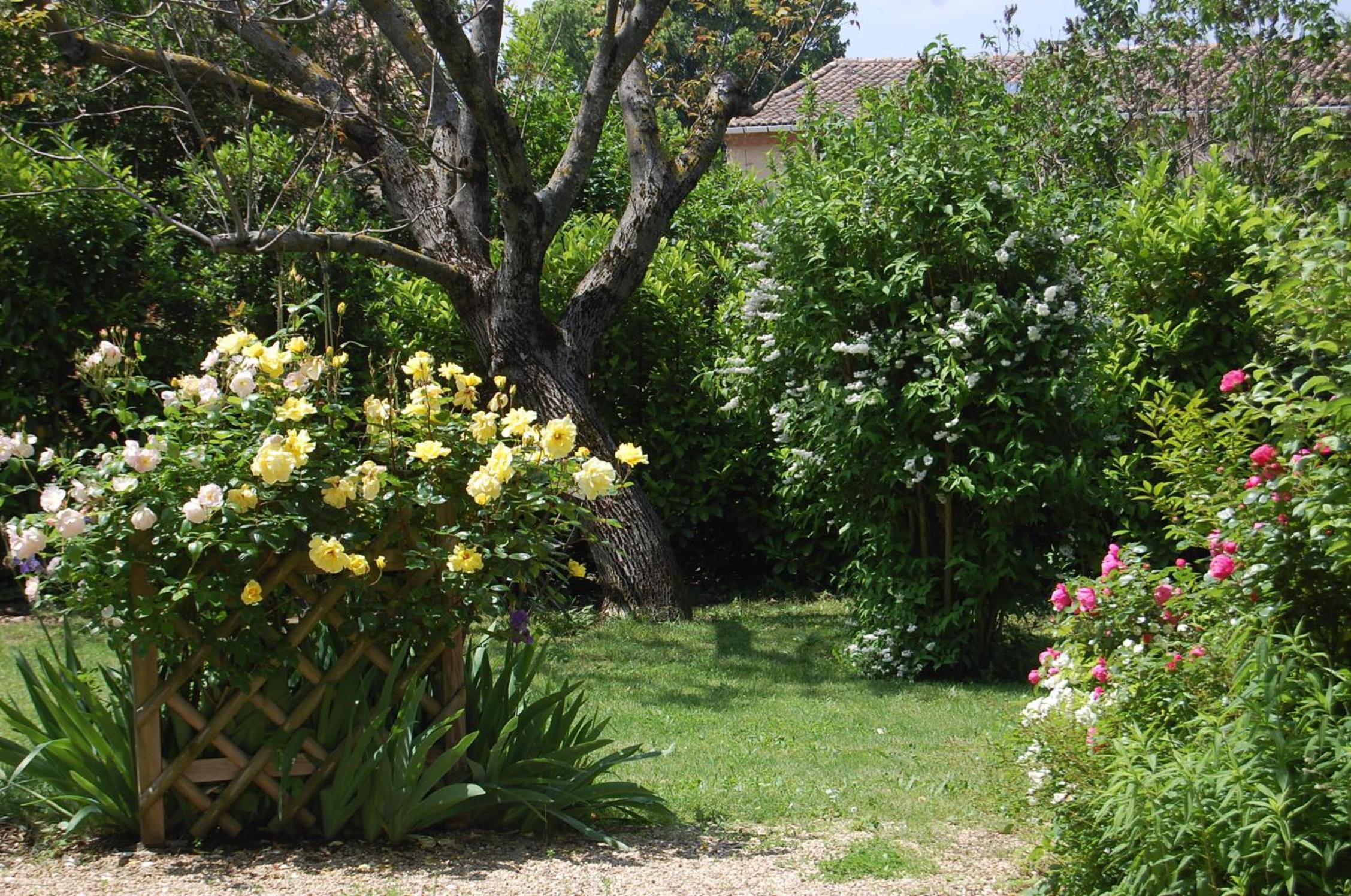 Photo 19