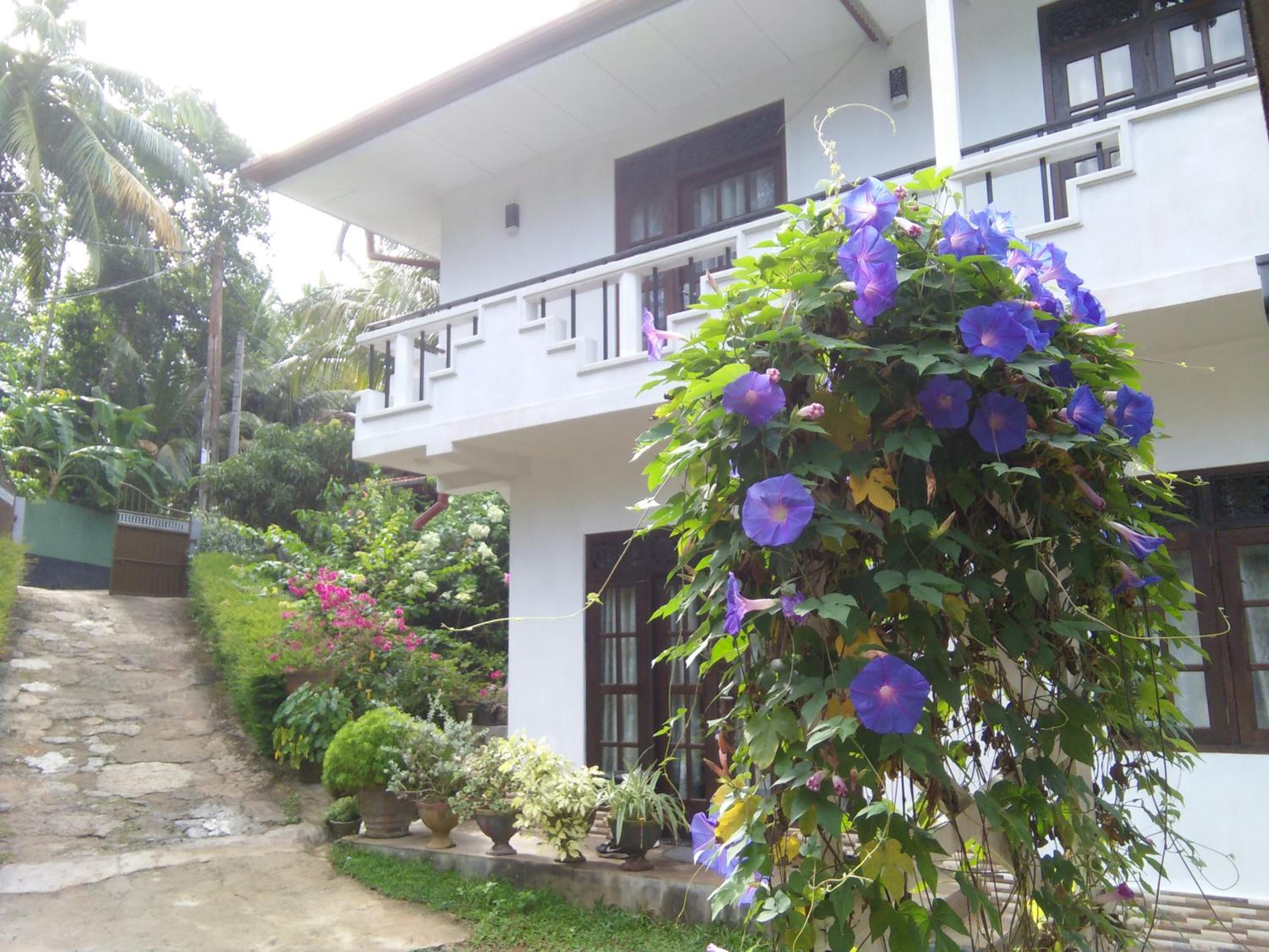 Abha Villa