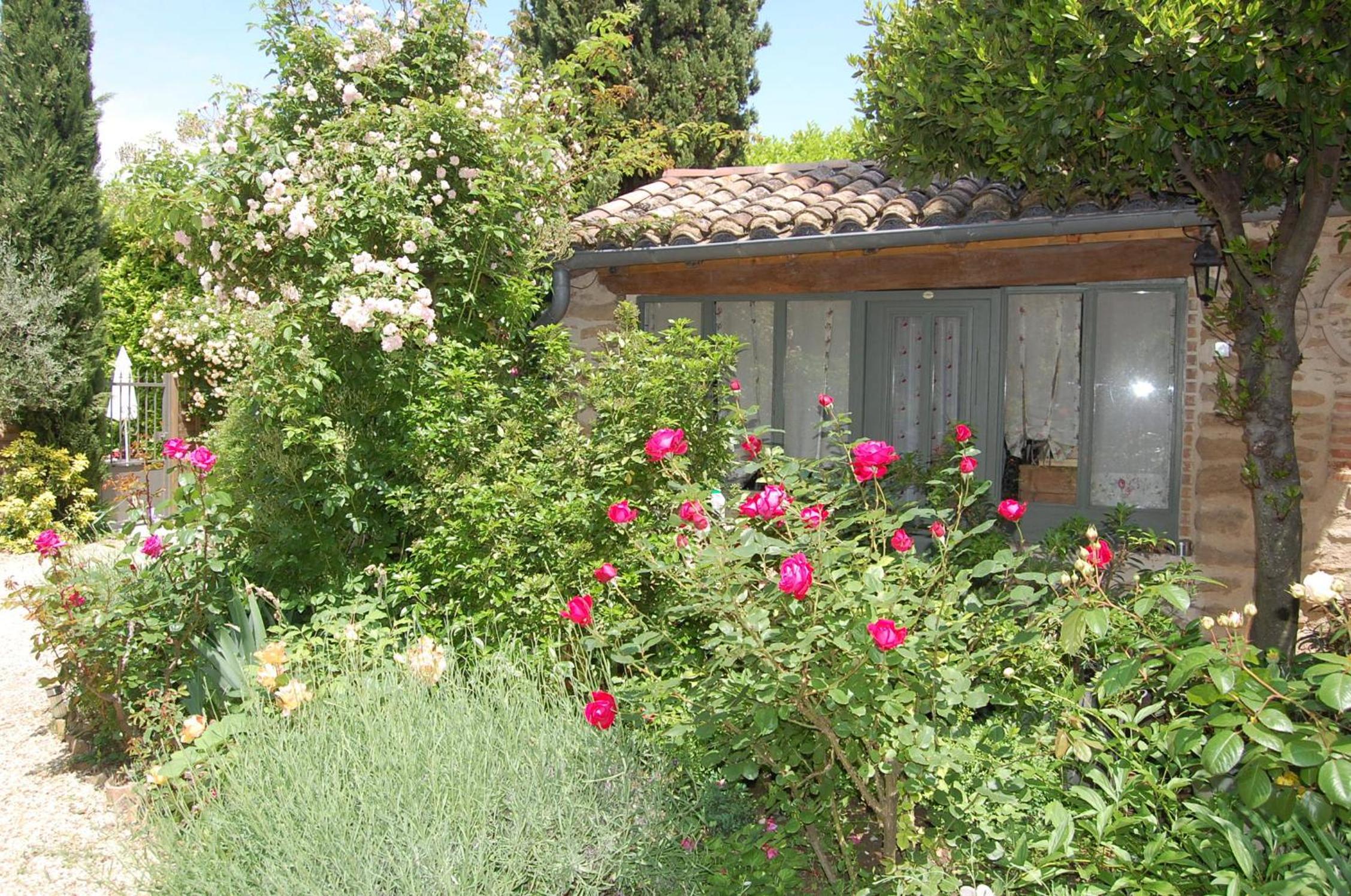 Photo 21