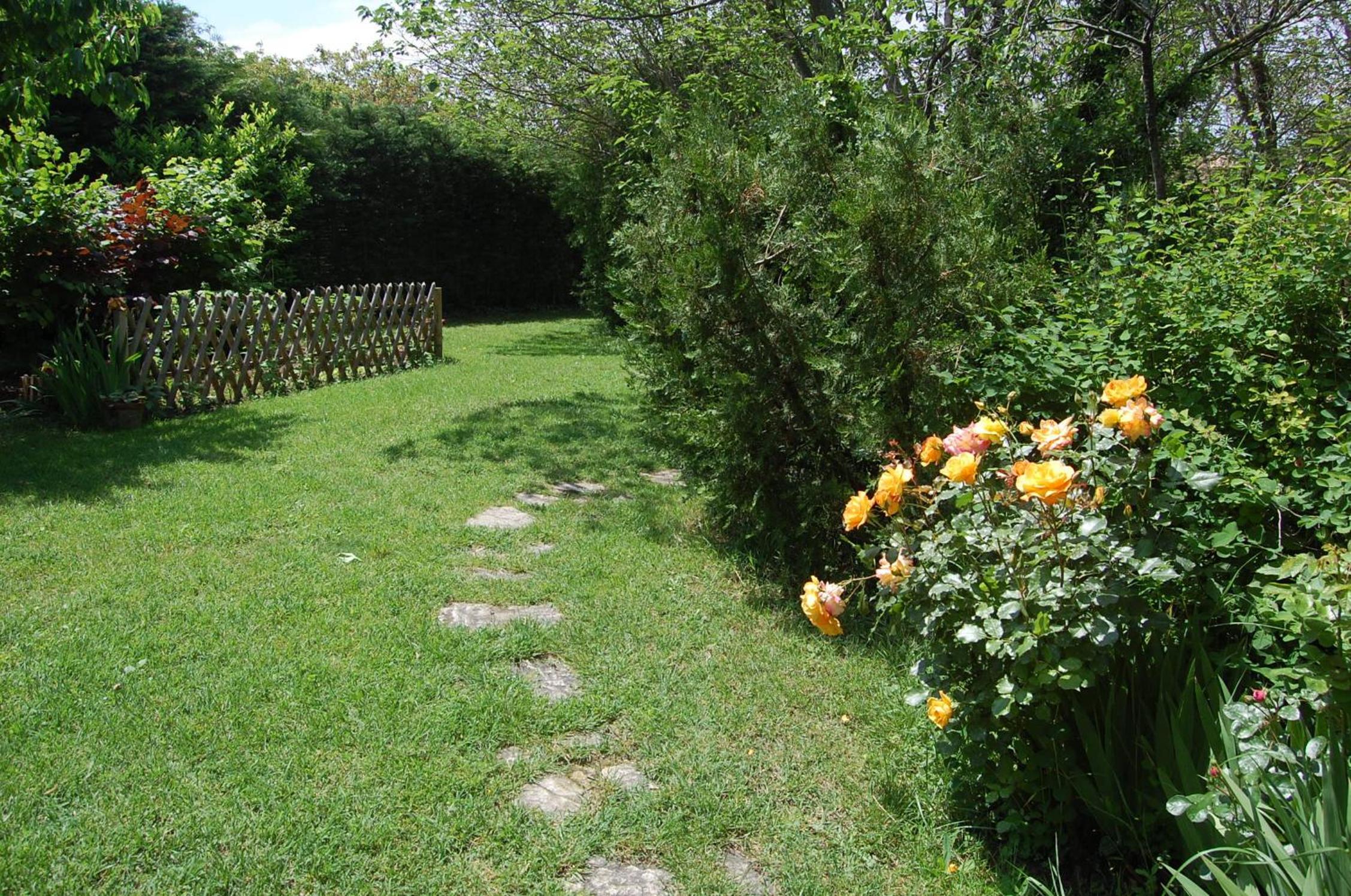 Photo 23