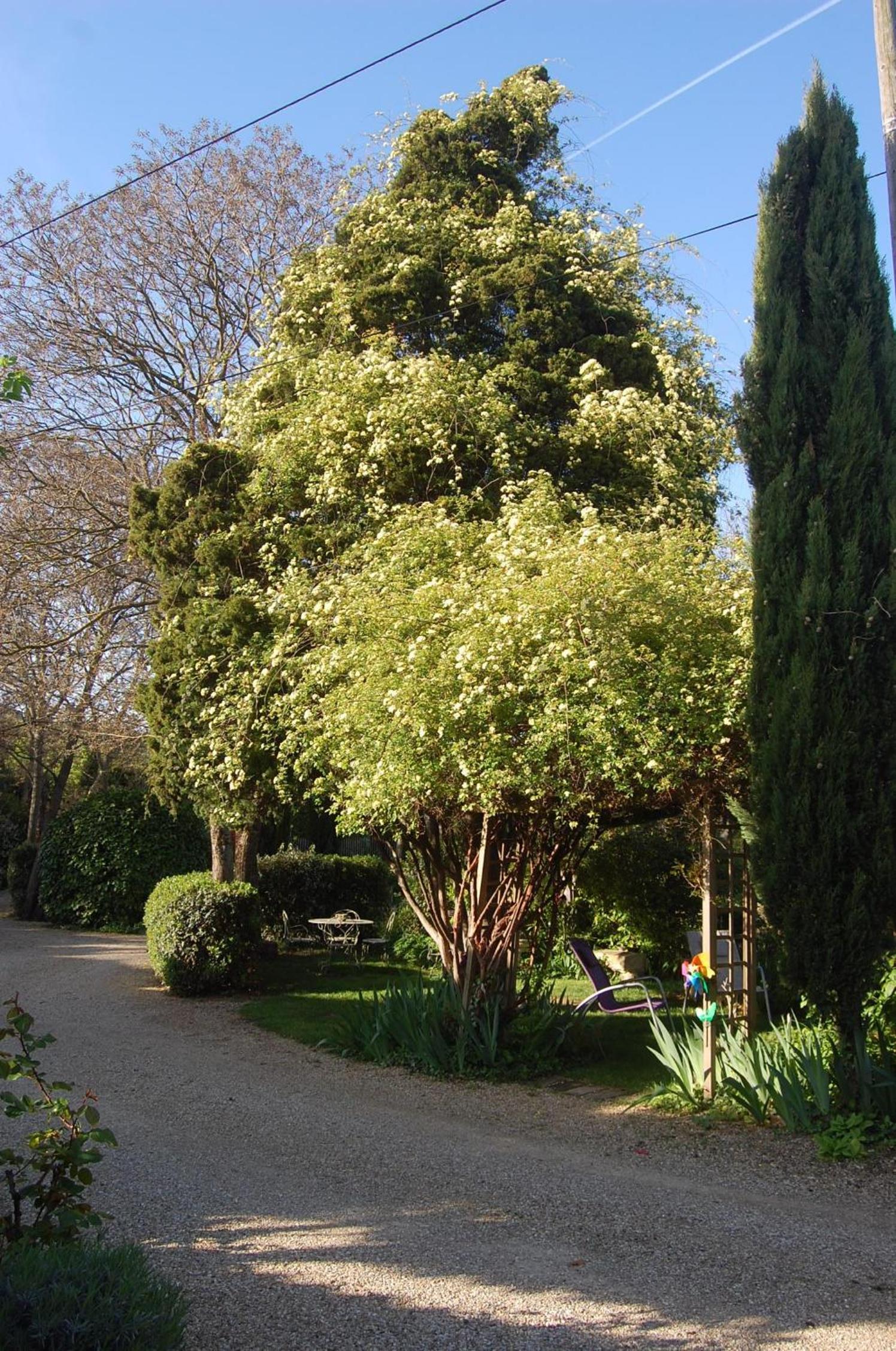 Photo 26