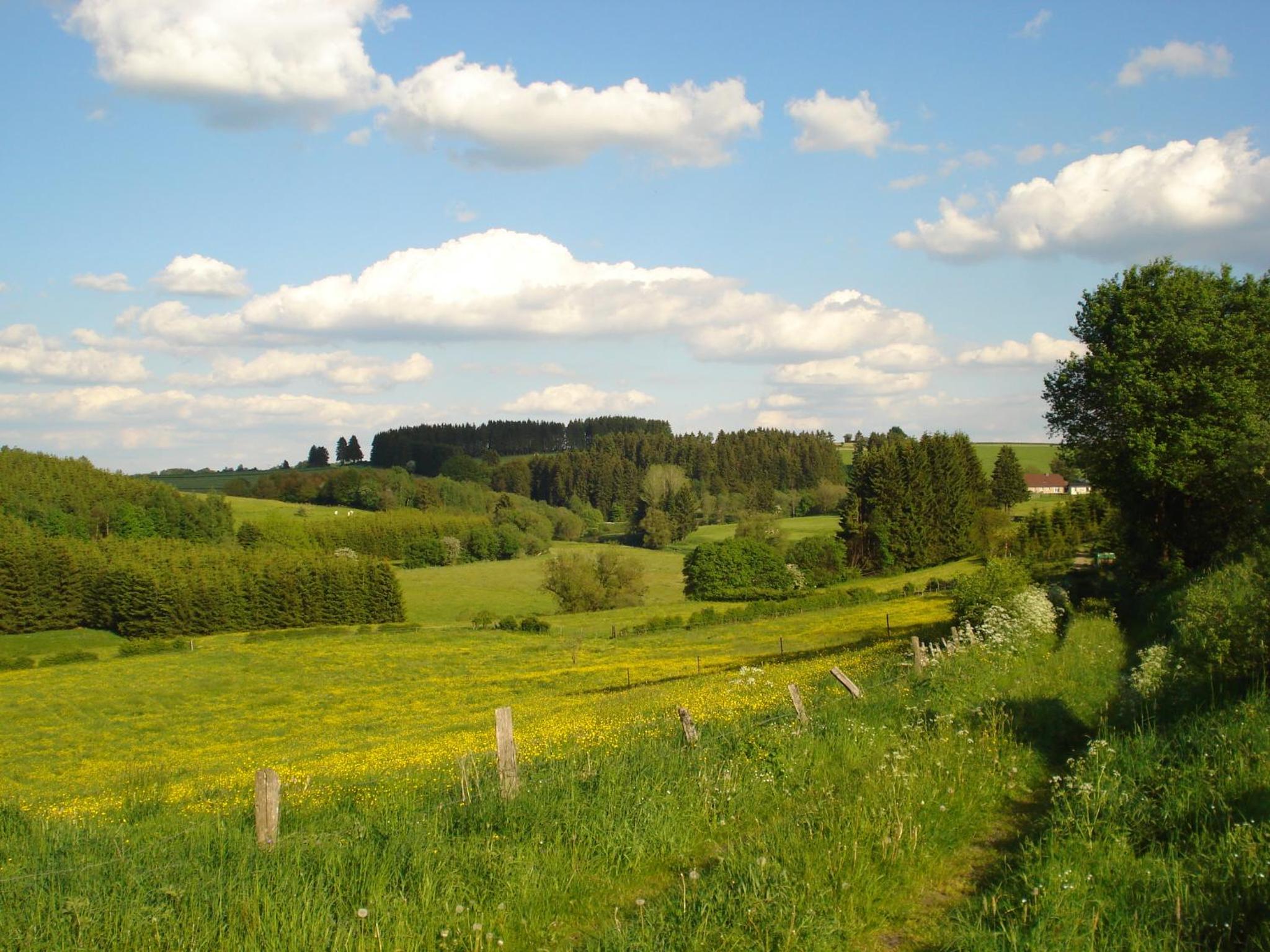 Location PanoramaGreen
