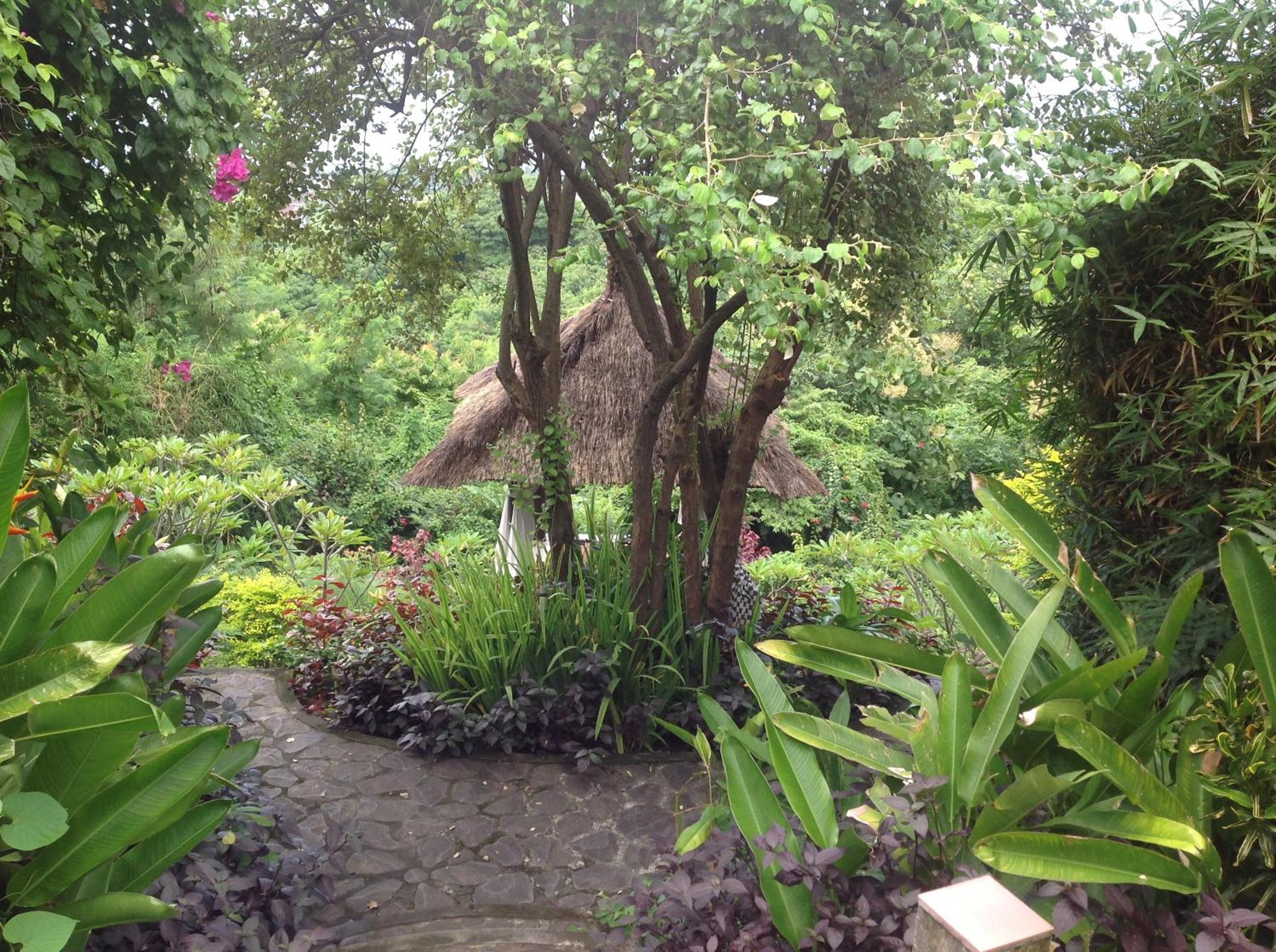 Photo 17