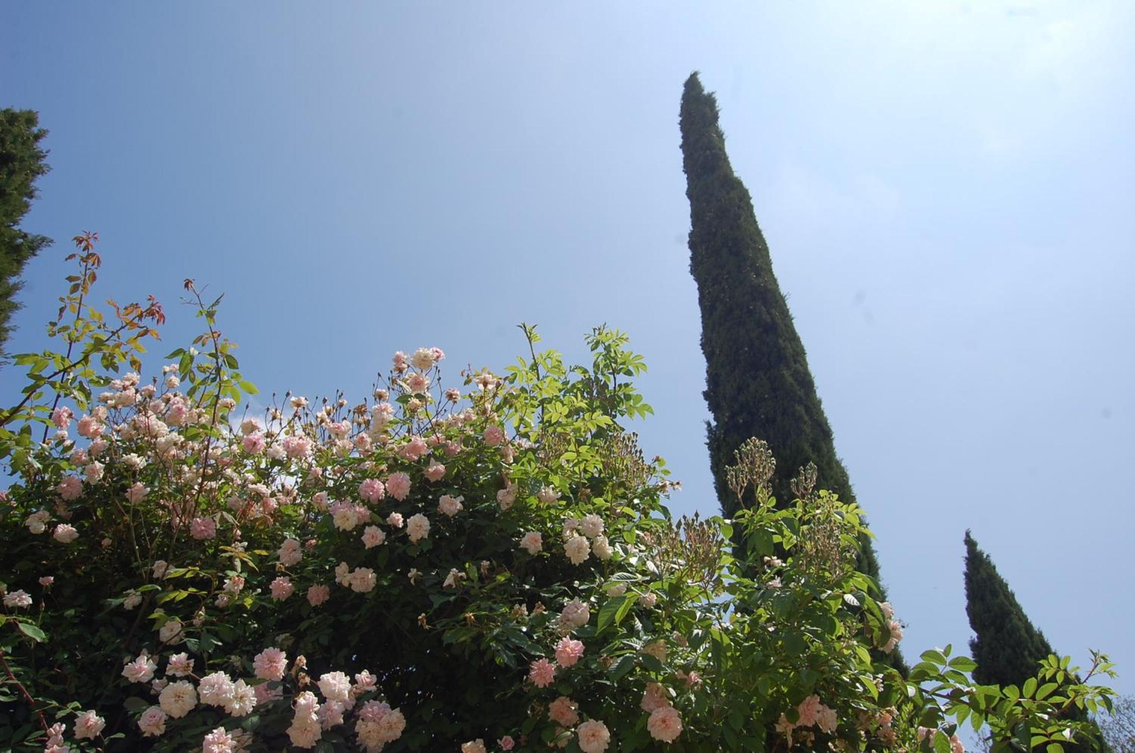 Photo 27