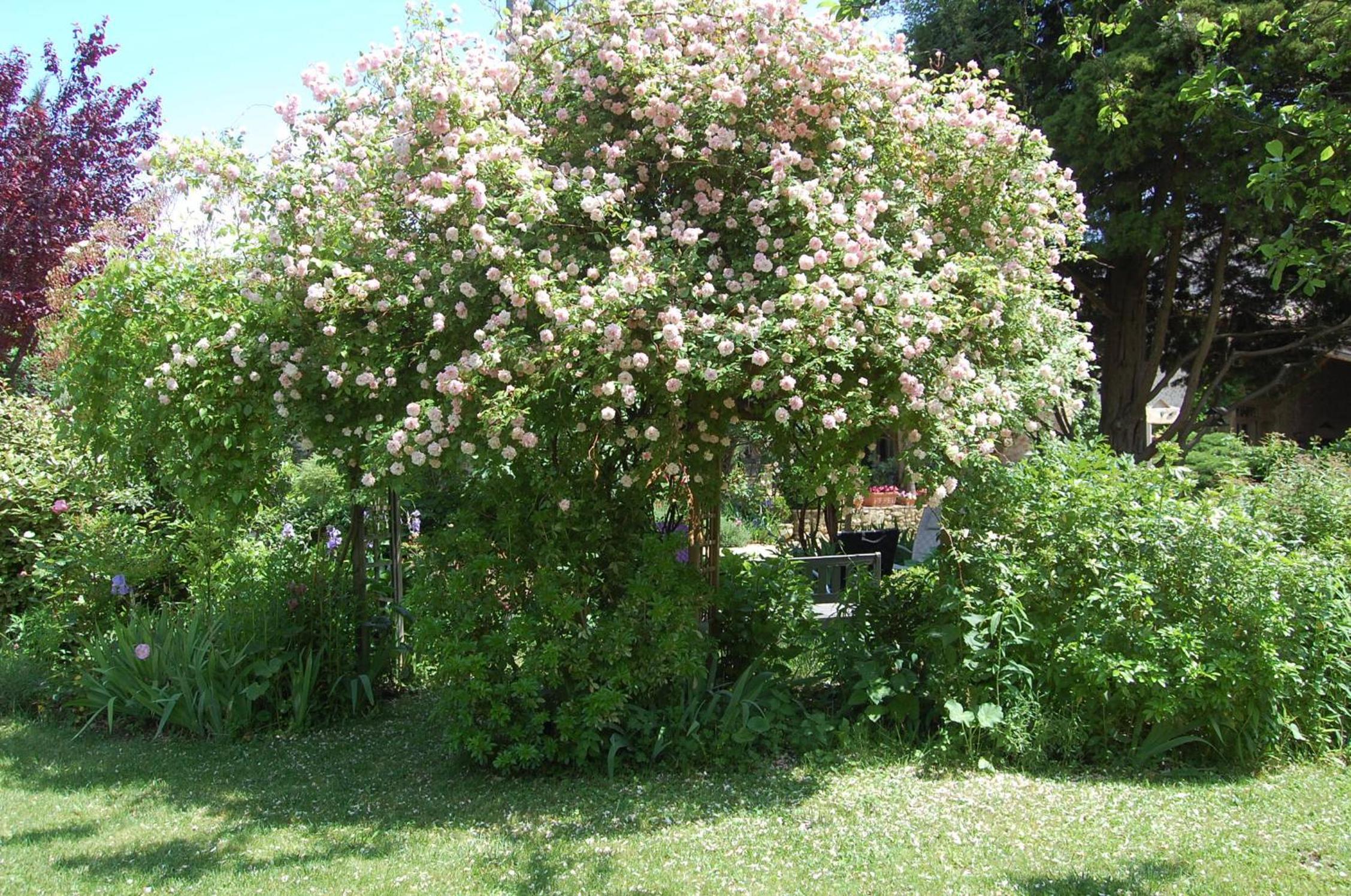 Photo 28