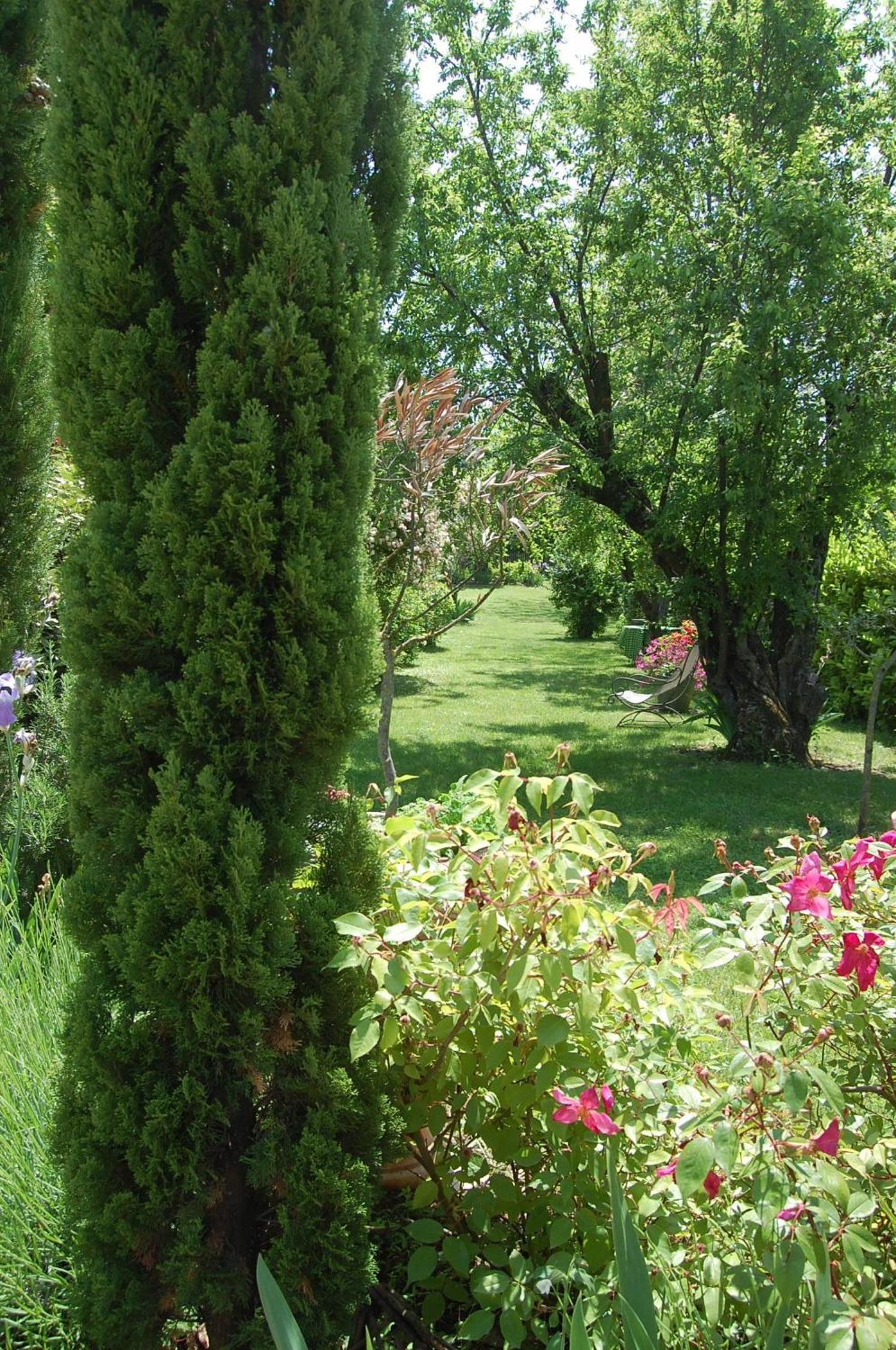 Photo 54