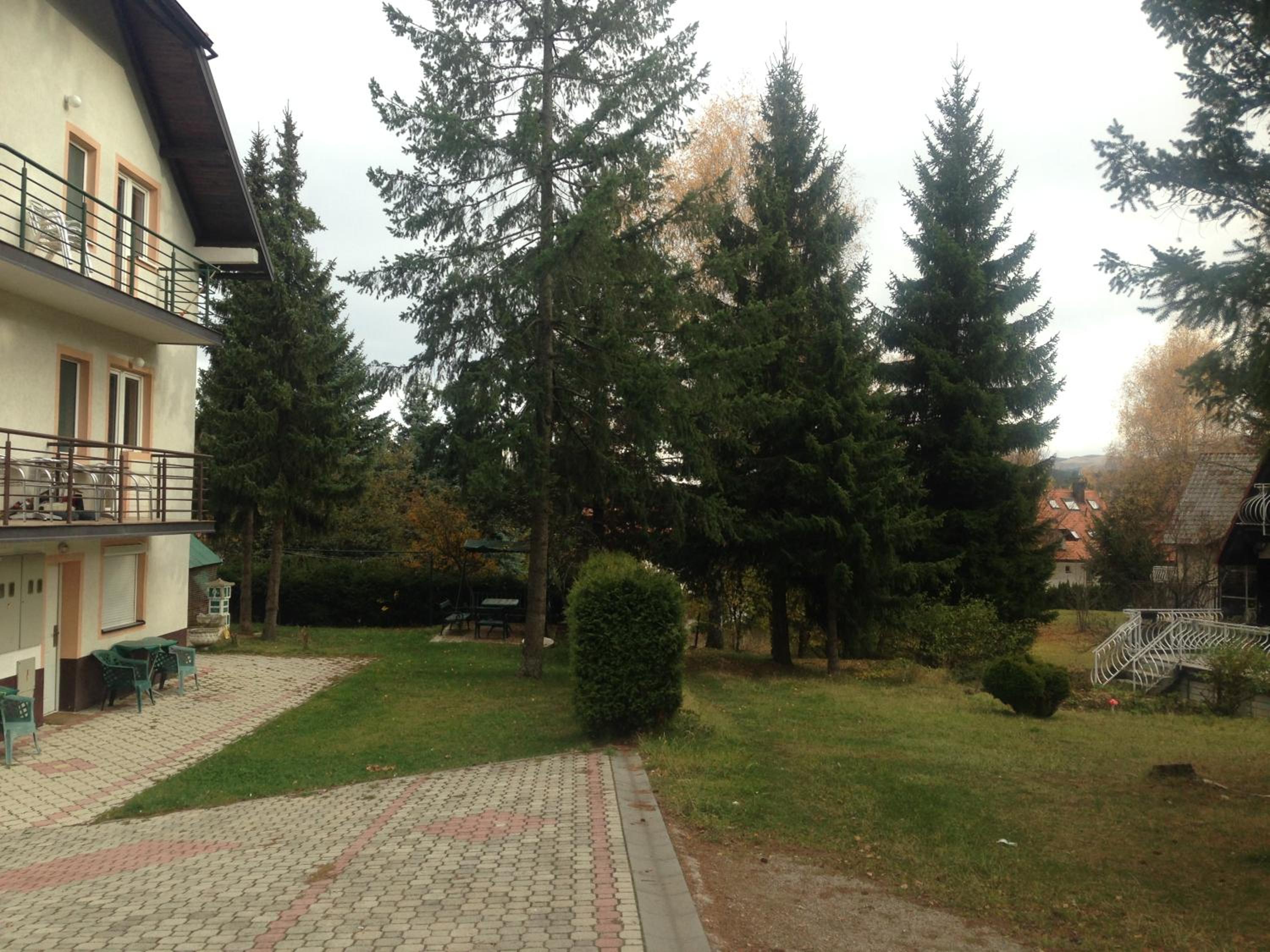 Photo 39