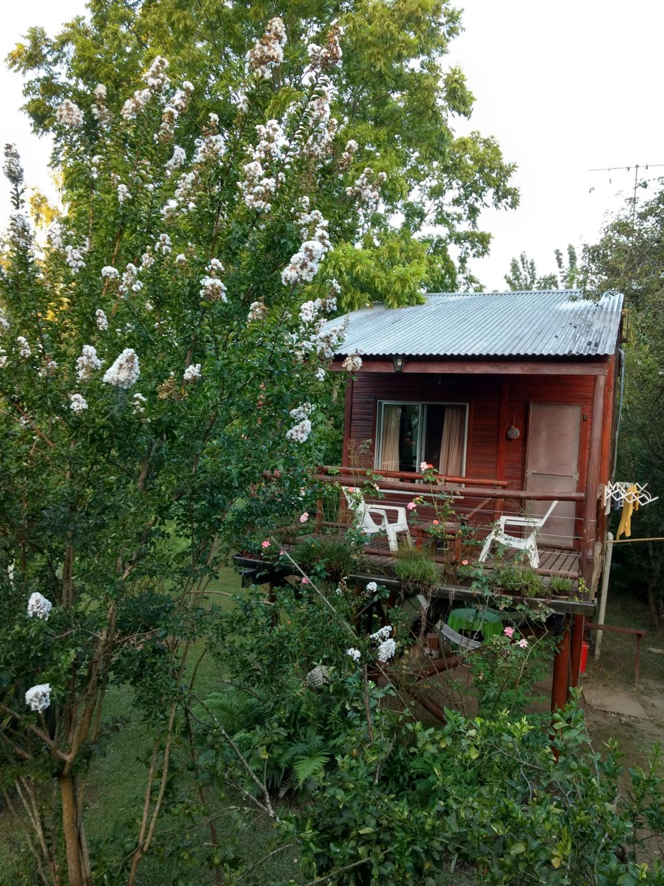 Cabañas ICh