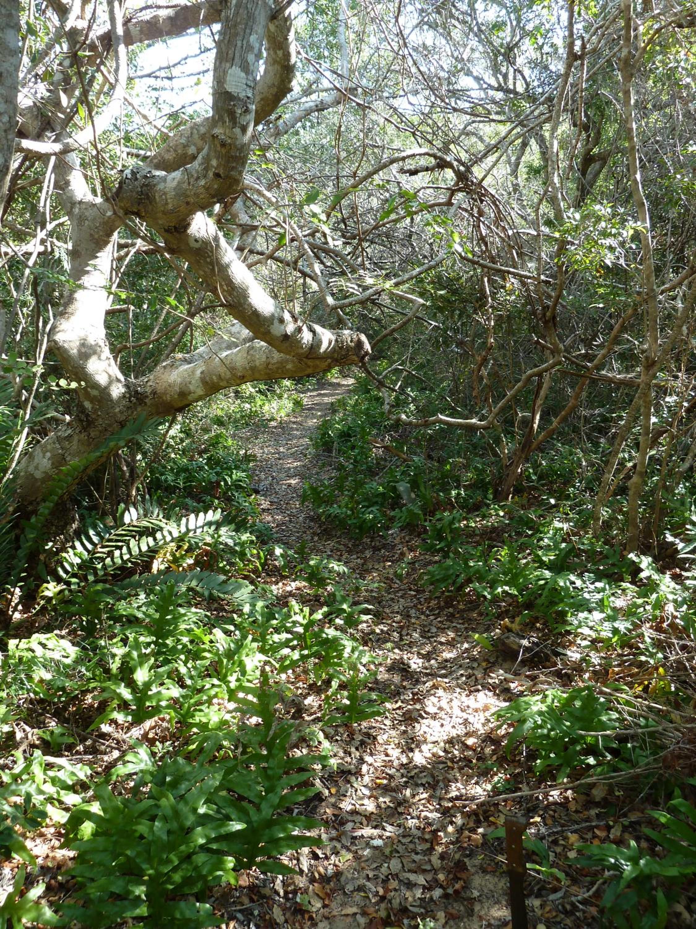 Photo 8
