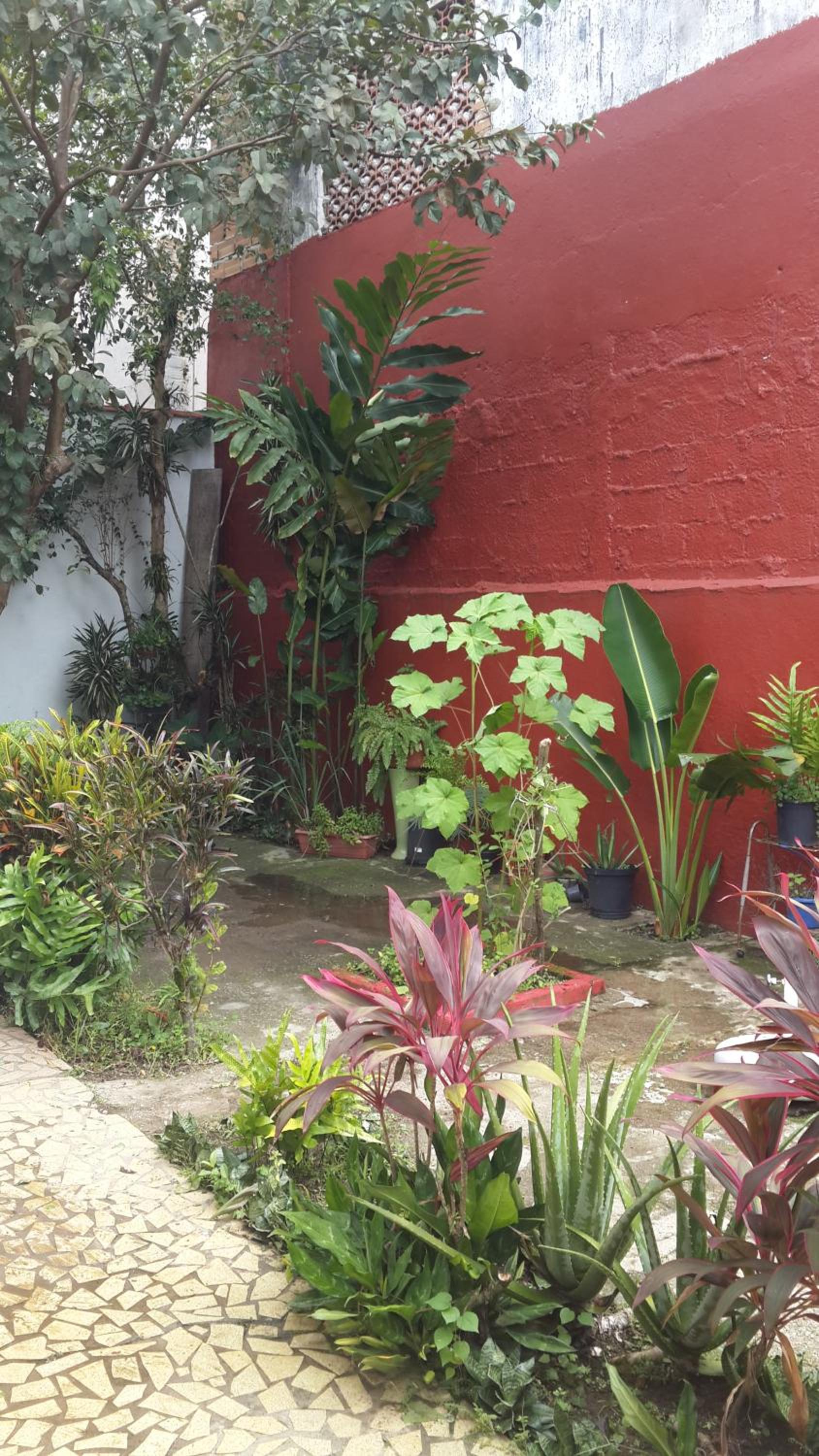 Casas em Ubatuba
