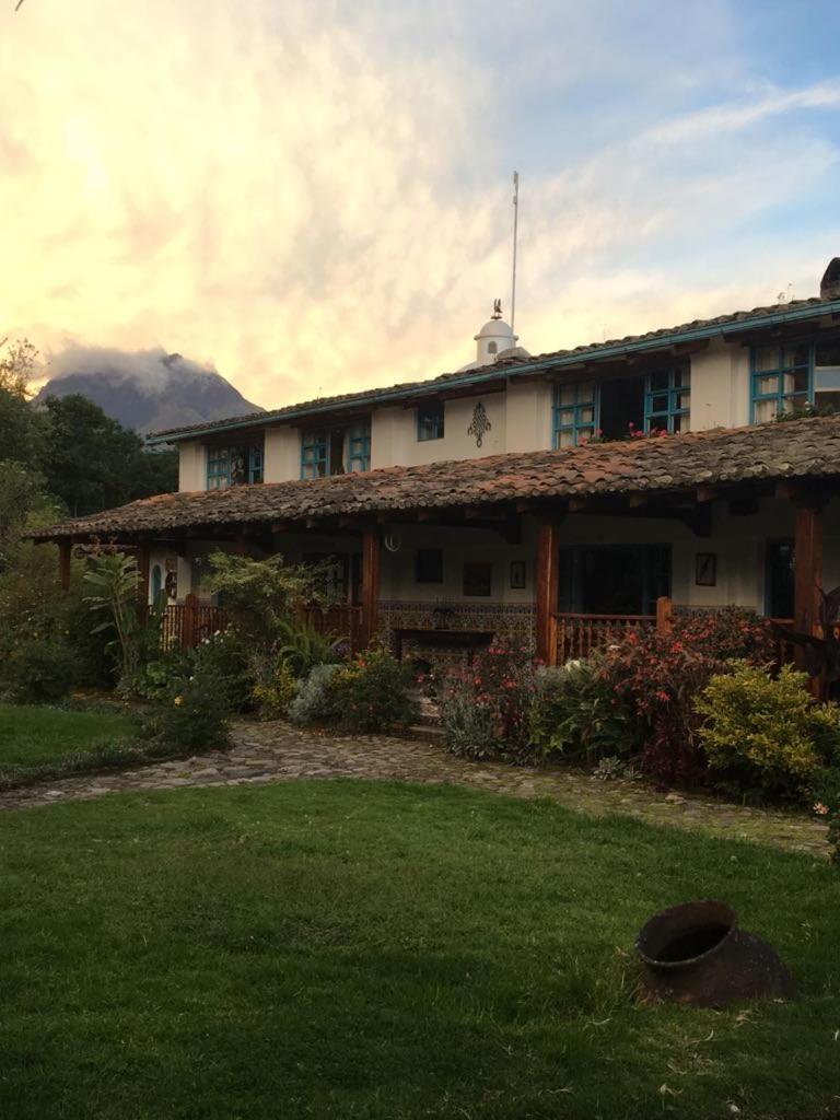 Las Palmeras Inn, photo 17