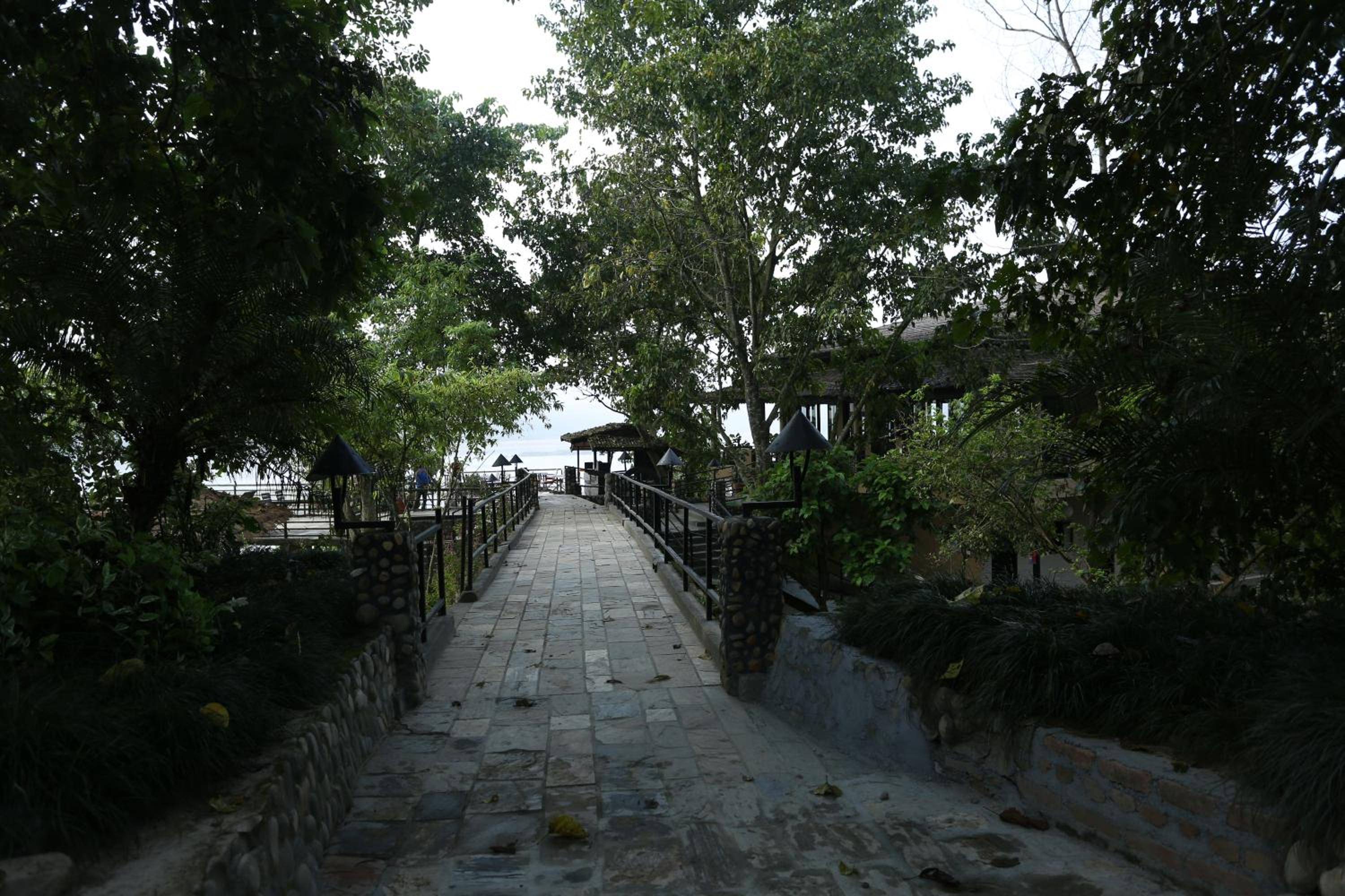 Photo 41