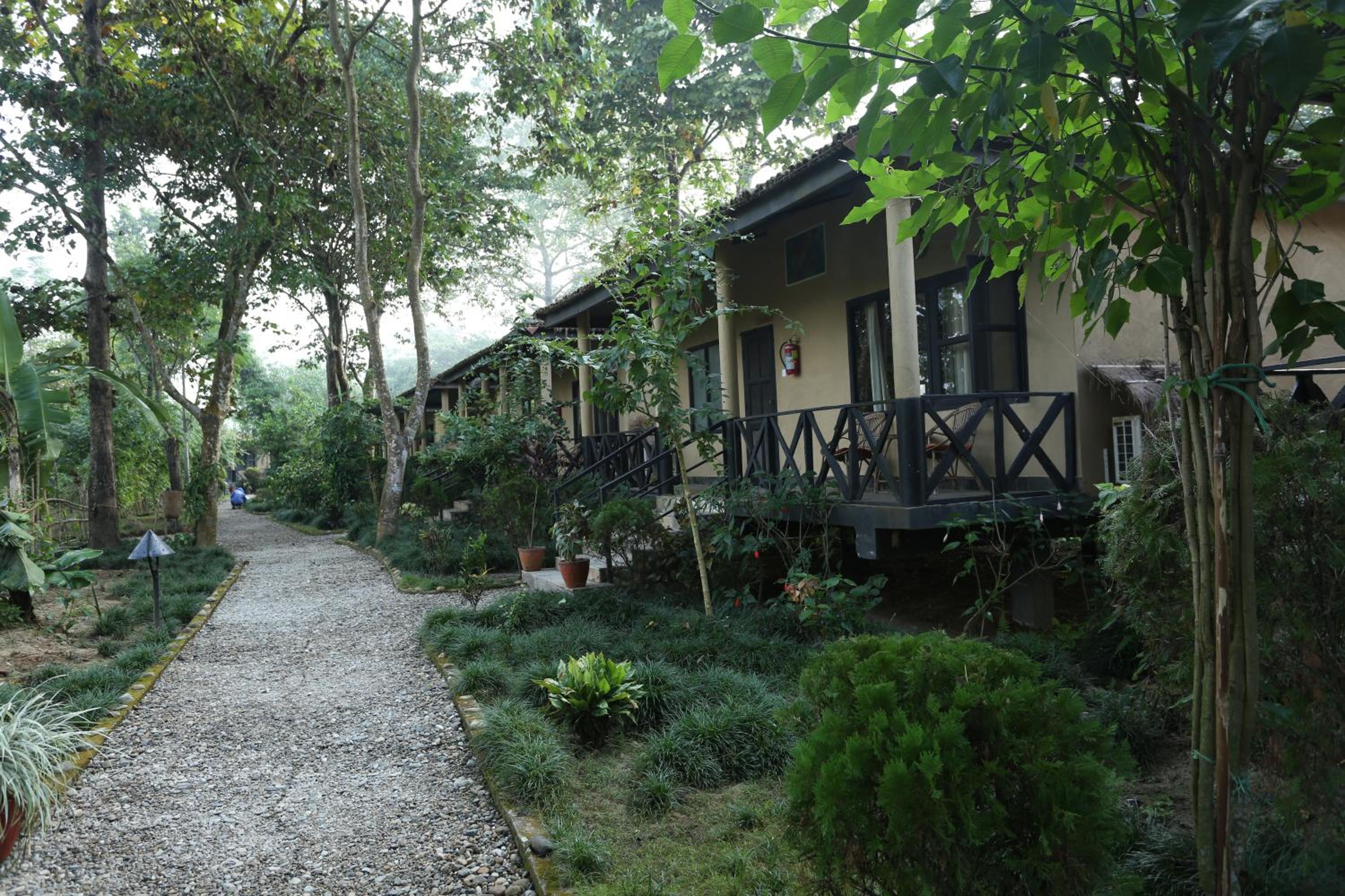 Photo 44