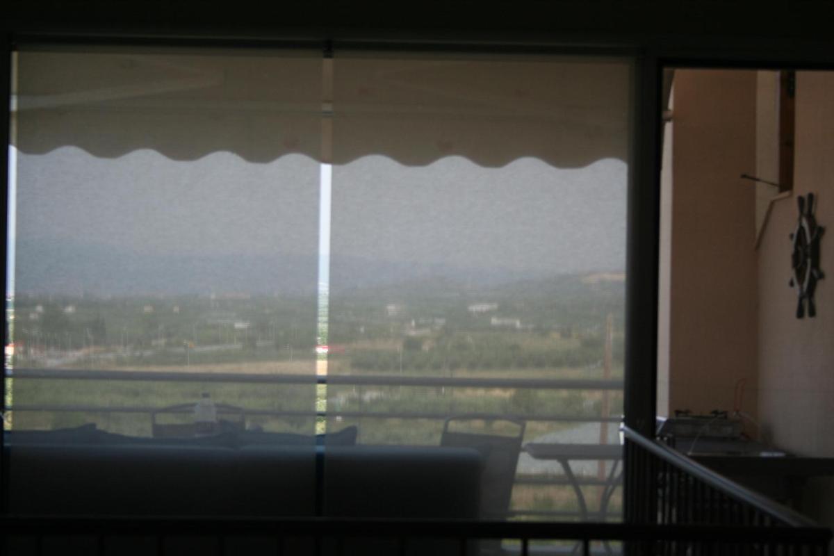 Photo 45
