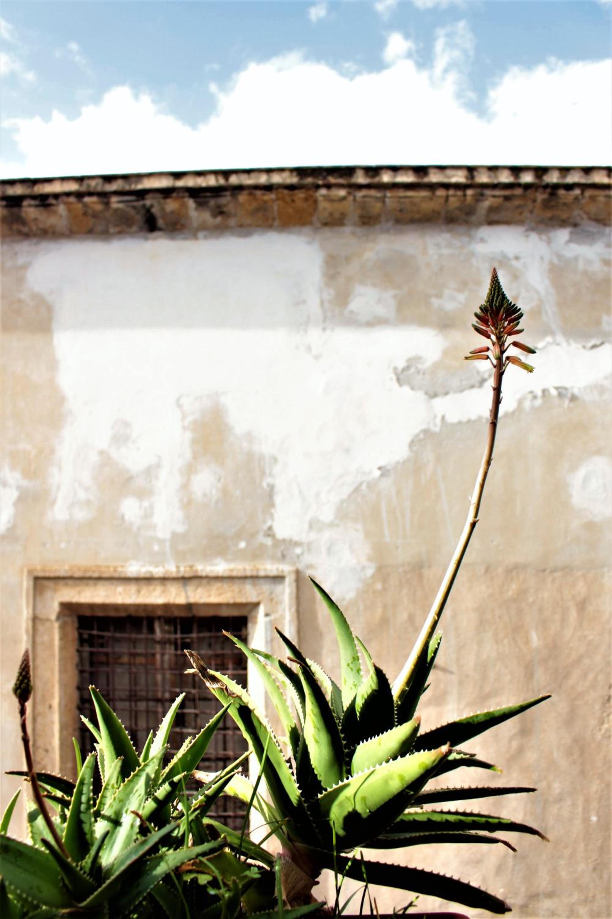 Photo 46