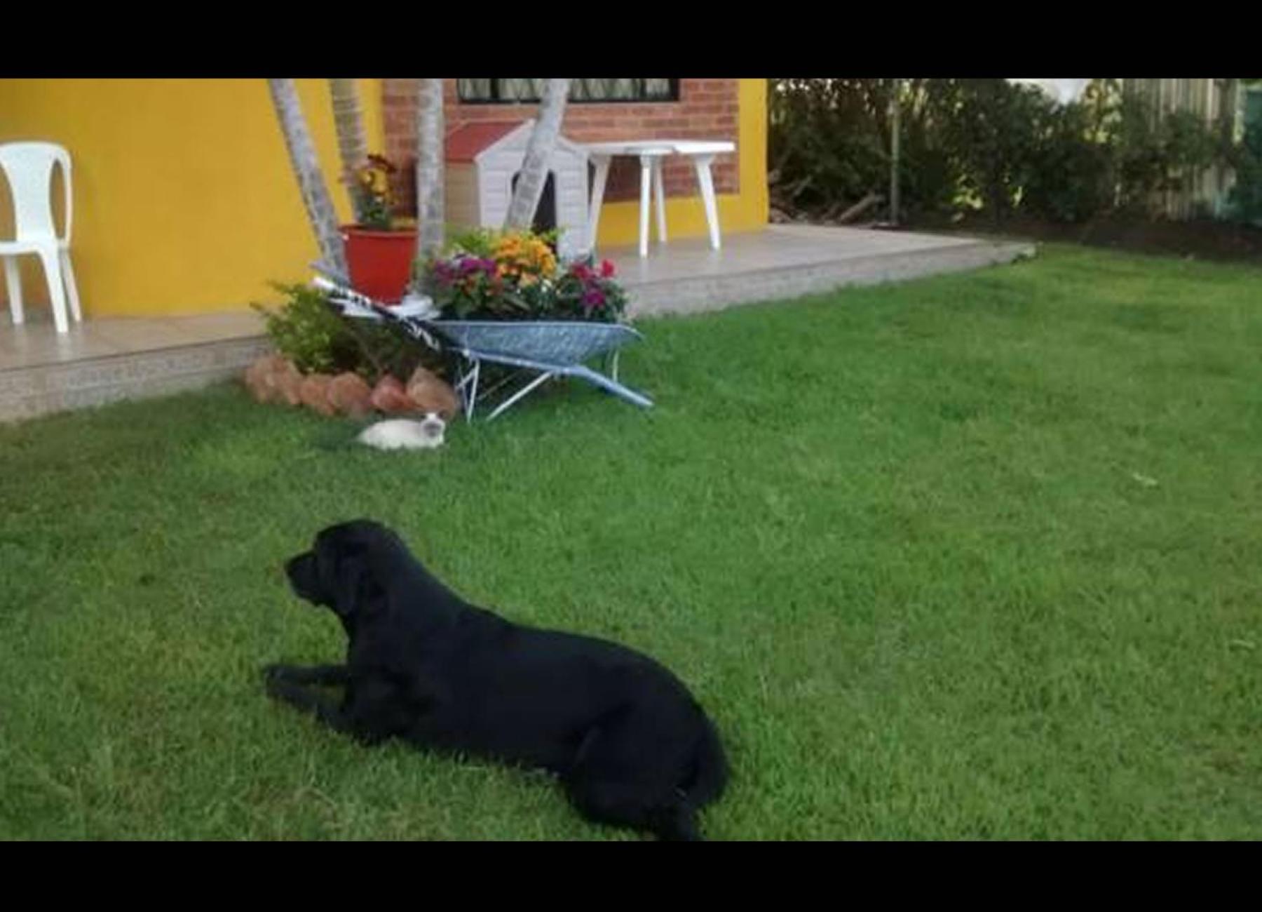 Photo 26