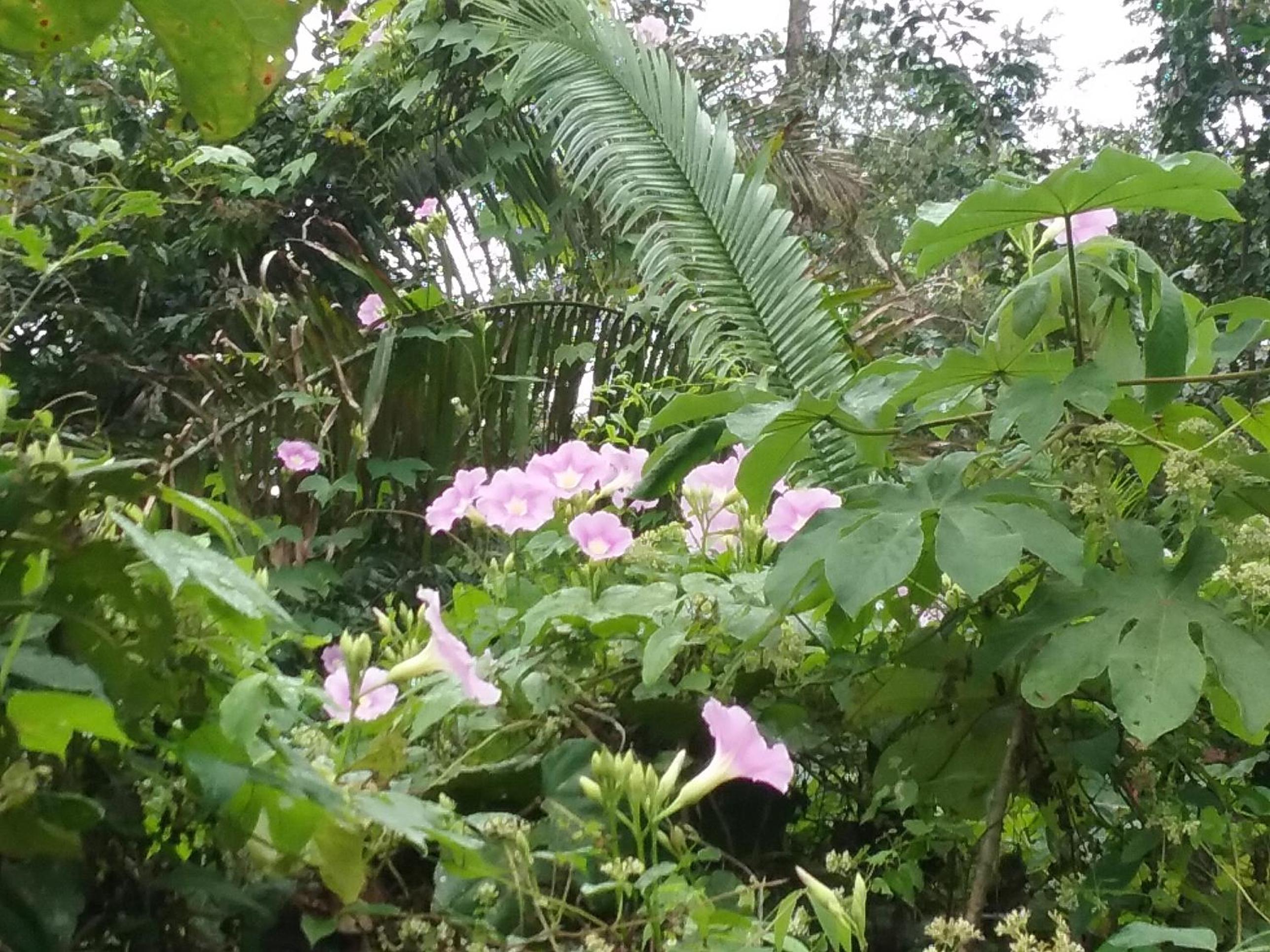 Hidden Haven