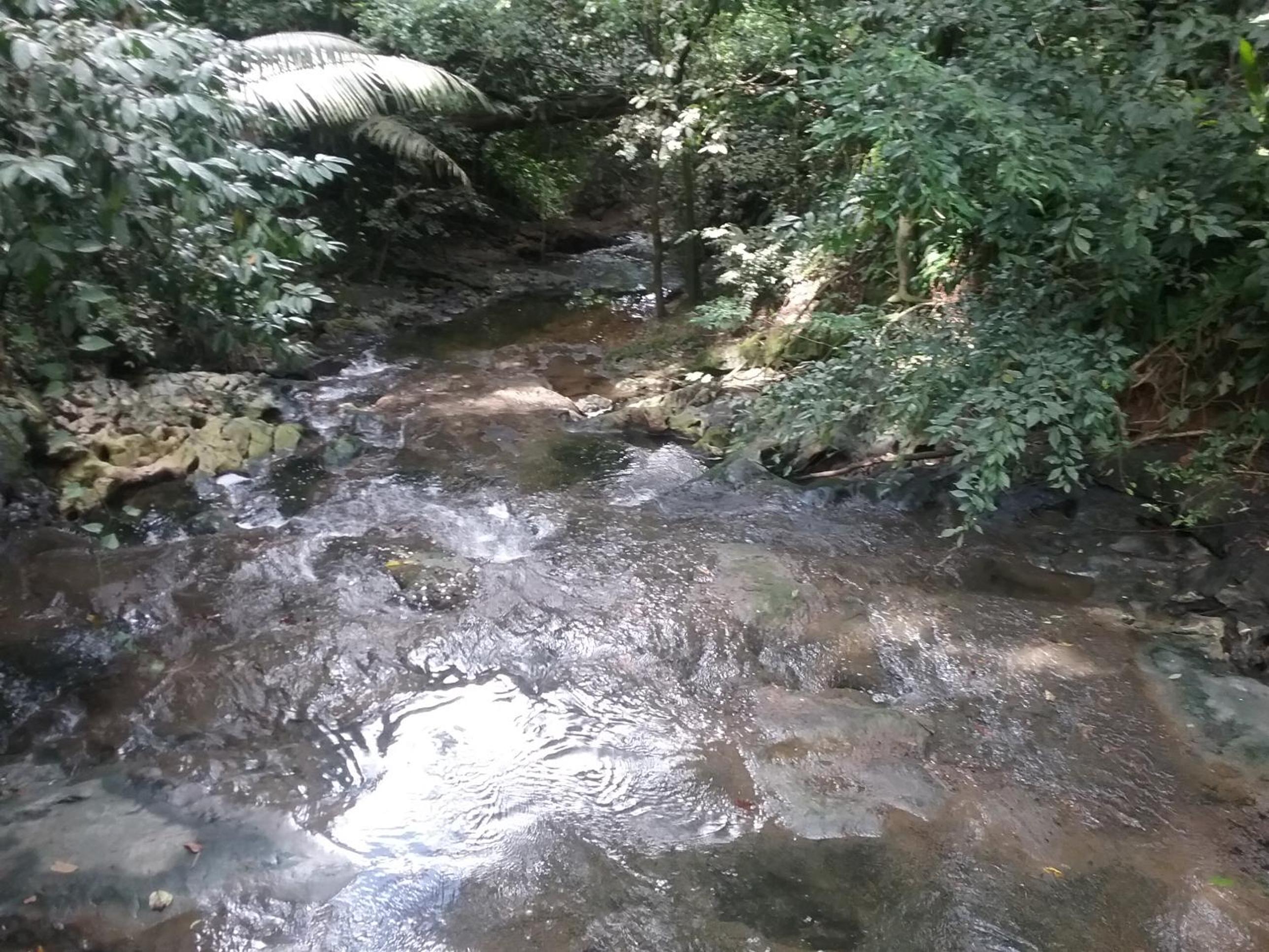 Hidden Haven