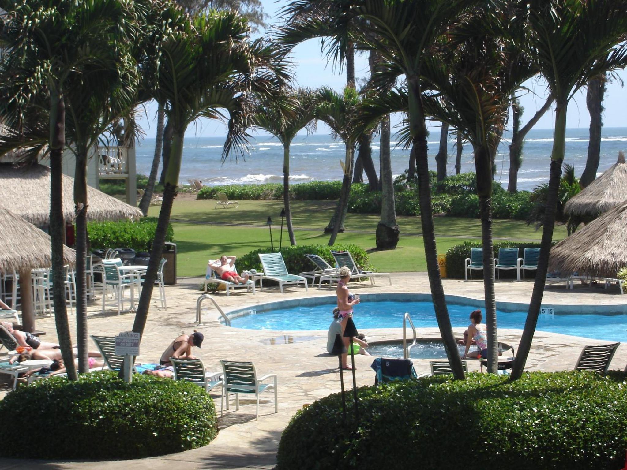 Islander on the Beach Unit 244 view 5