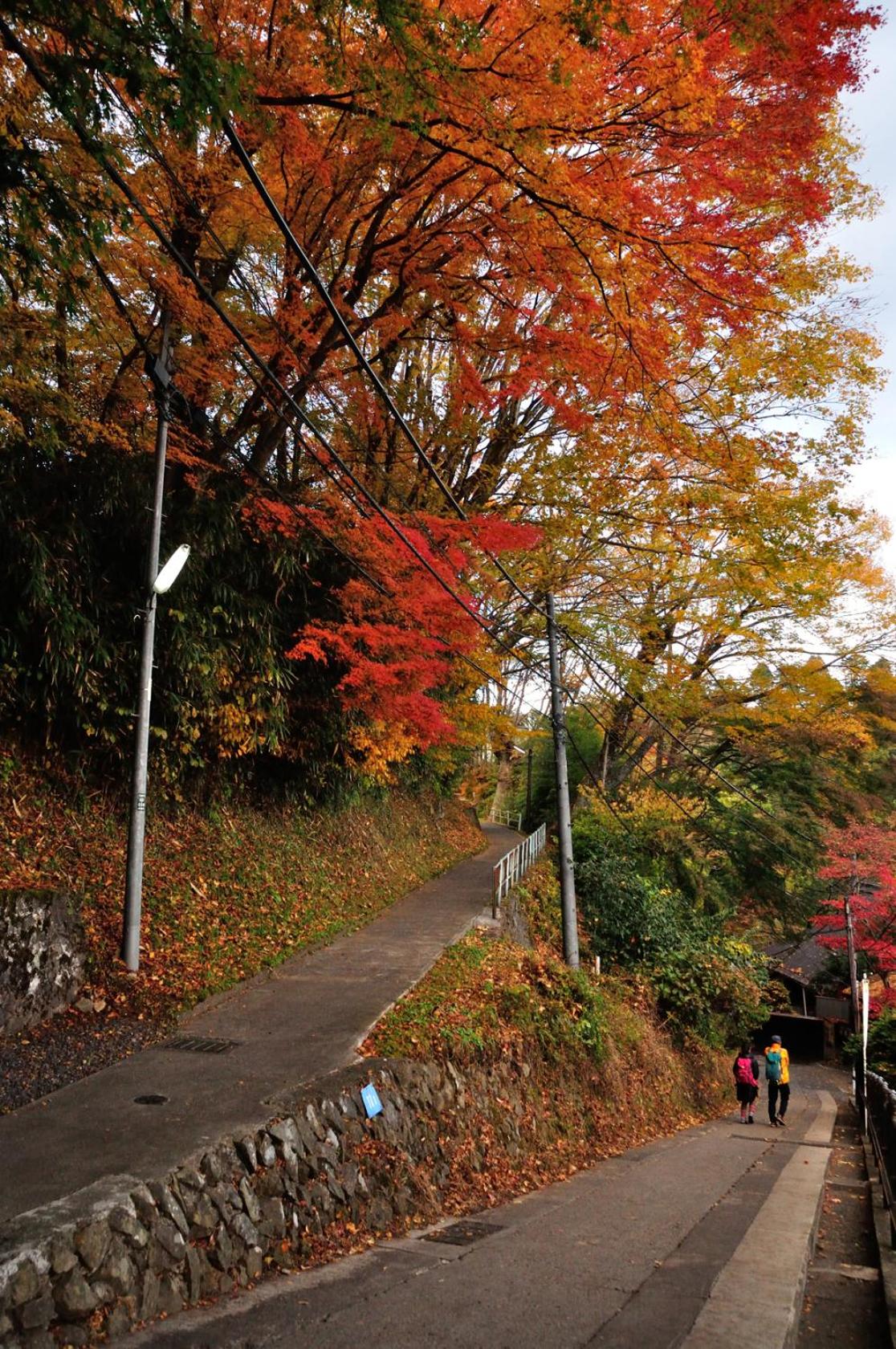 Okutamaji