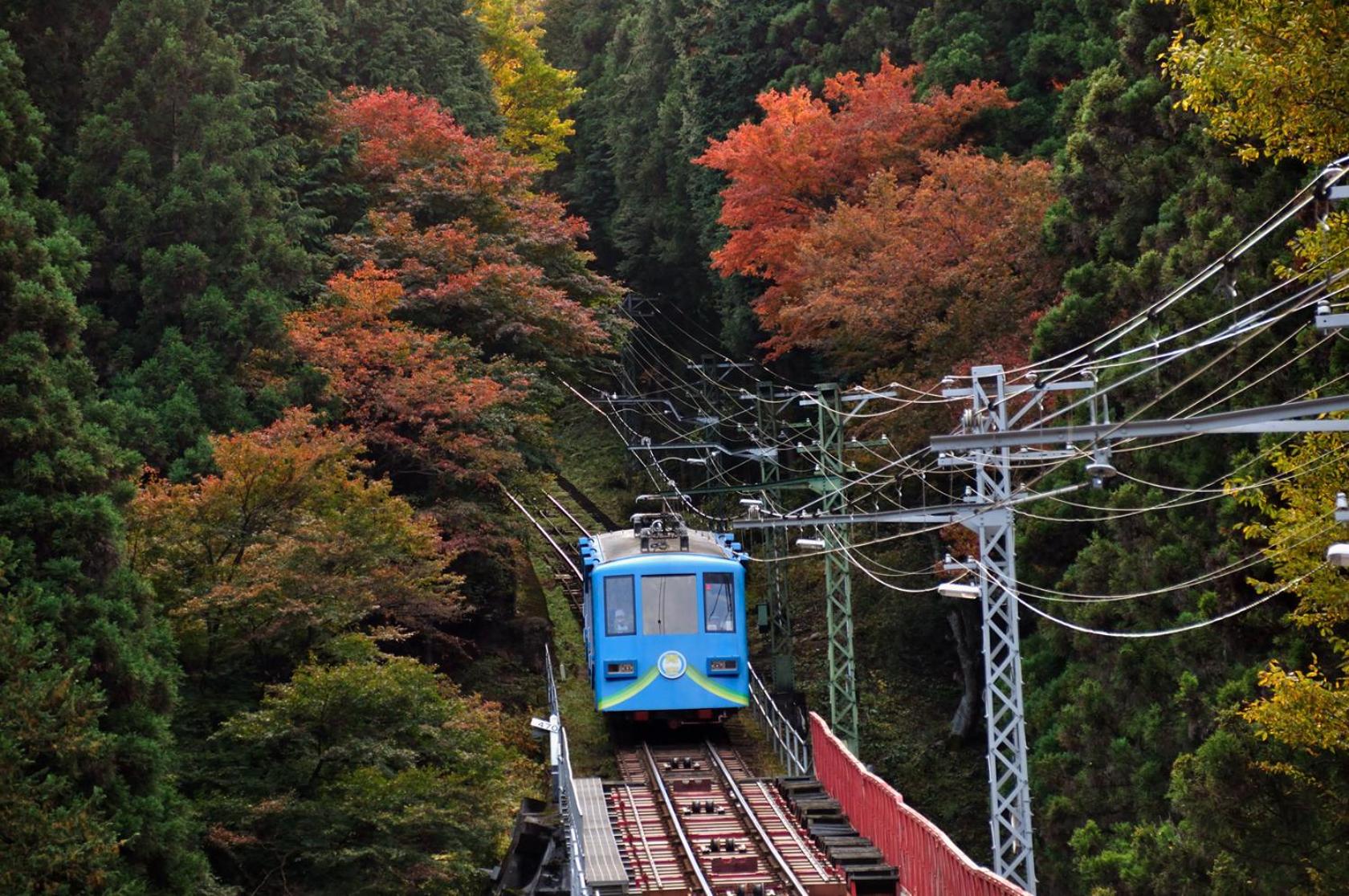 Okutamaji