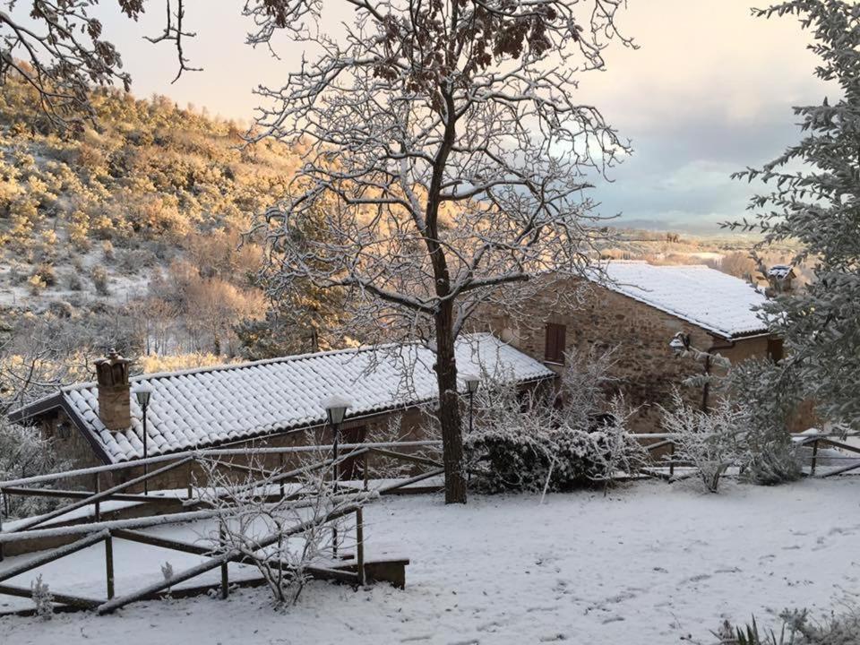 Il renaiolo view 5