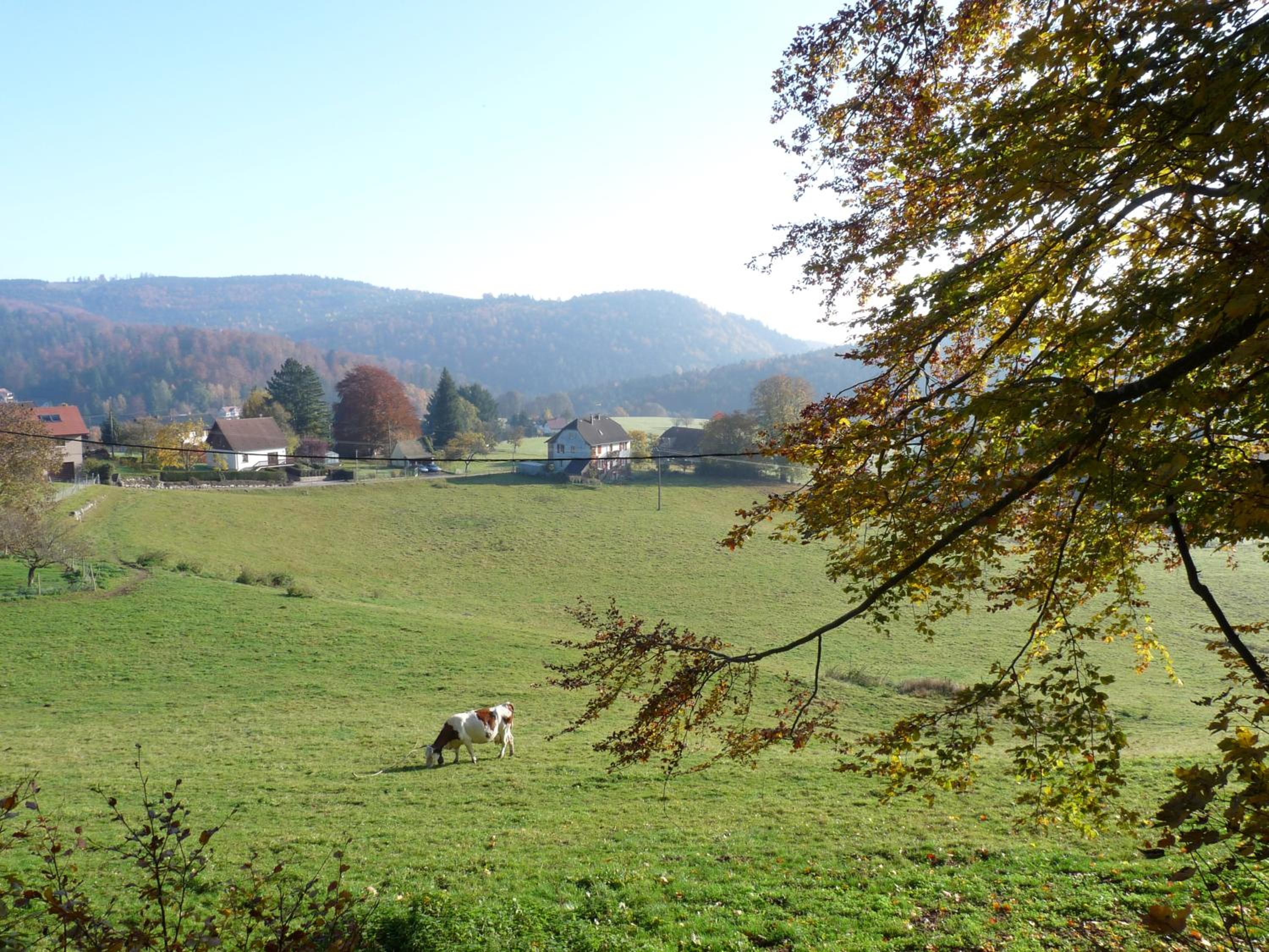 Locations Dupertuis Alsace view 2