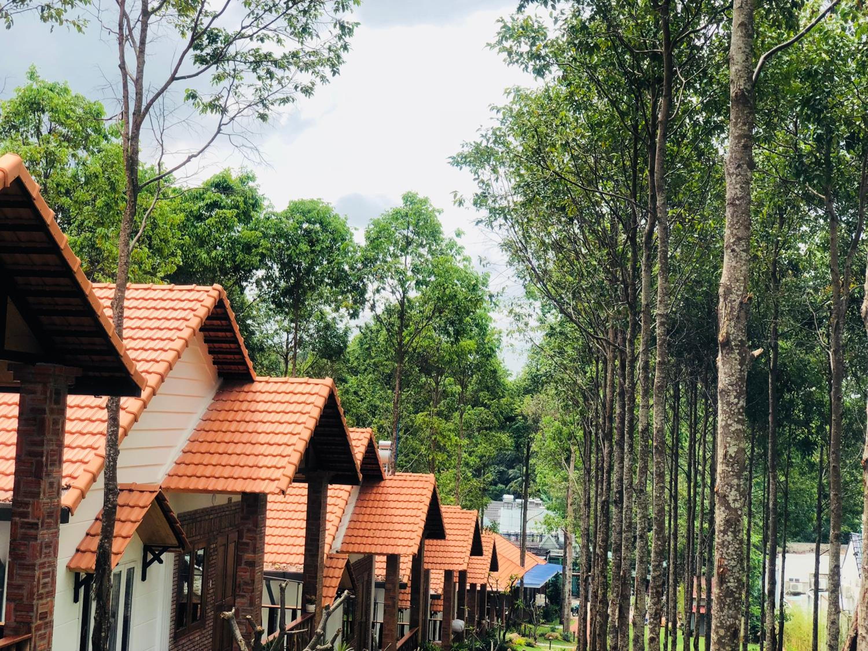 Đồi Sao Phú Quốc