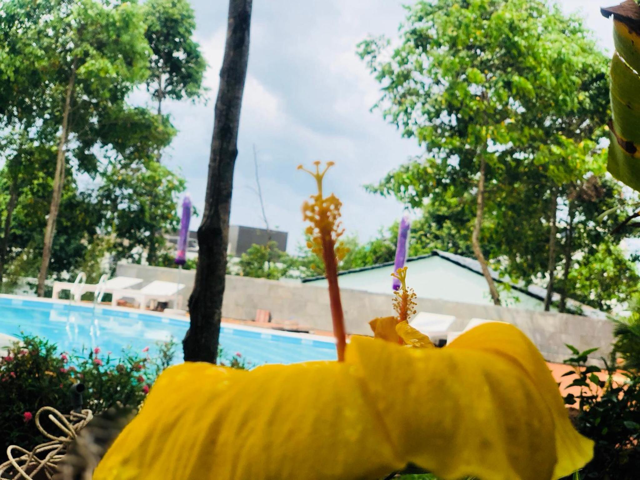 Đồi Sao Phú Quốc