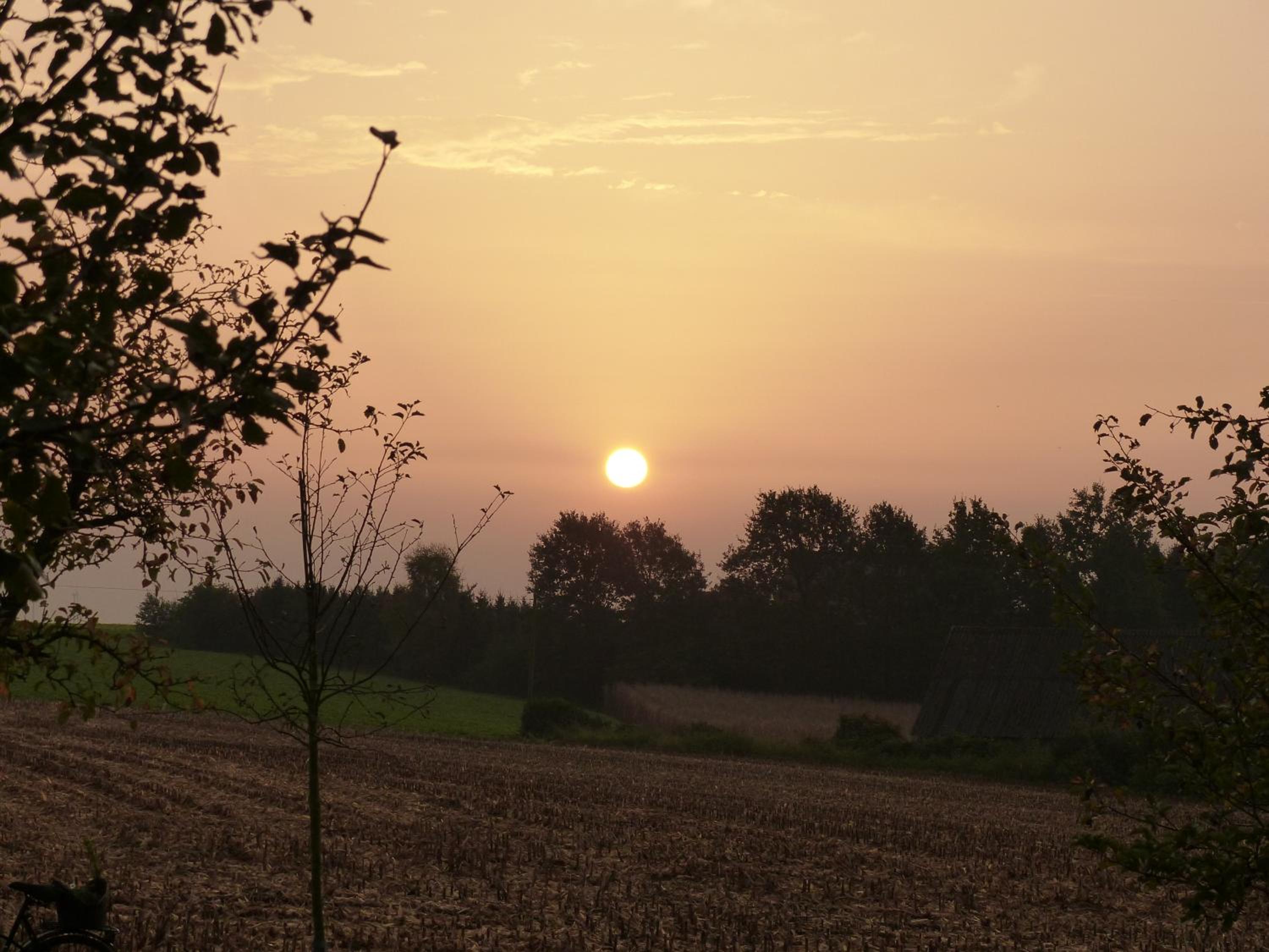FEWO Emsland